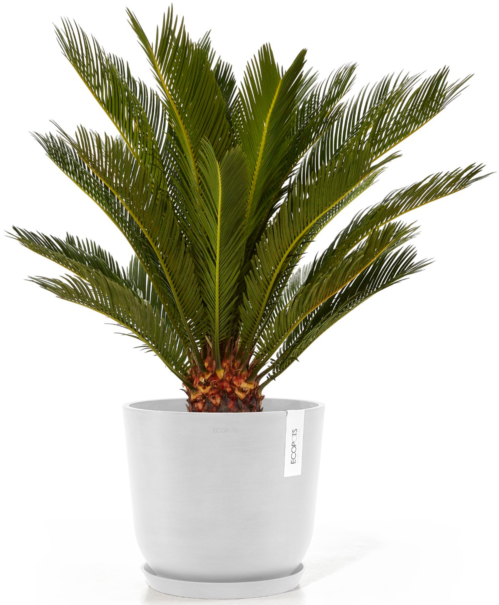 ECOPOTS Blumentopf »Oslo 25 + Wassersystem Weiß«, für innen und außen: frostsicher, bruchsicher und lichtbeständig