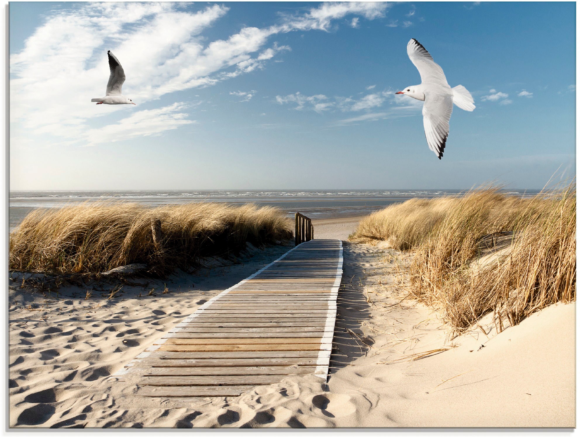 Artland Glasbild »Nordseestrand auf Langeoog mit Möwen«, Strand, (1 St.), in verschiedenen Größen