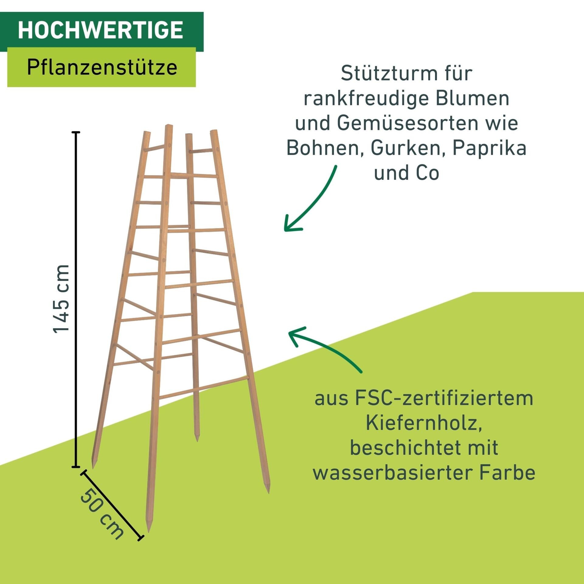 Windhager Rankgitter »Pyramide, Holz-Rankgerüst für Blumen und Gemüsepflanzen« Kletterhilfe für den Garten, 50 x 50 x 145 cm