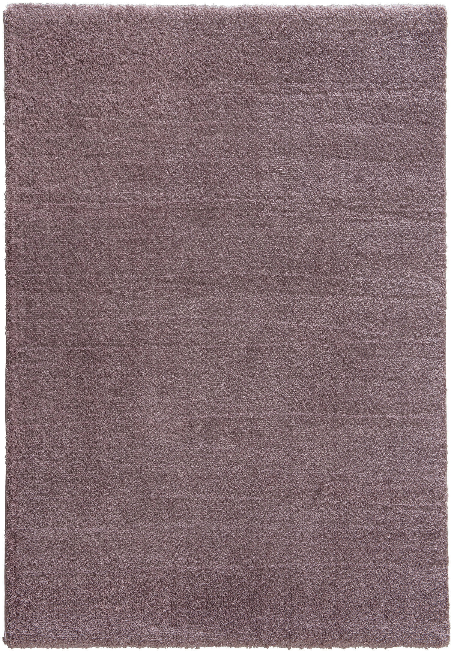 ASTRA Hochflor-Teppich "New Livorno", rechteckig, 30 mm Höhe, Kurzflor, Wohnzimmer