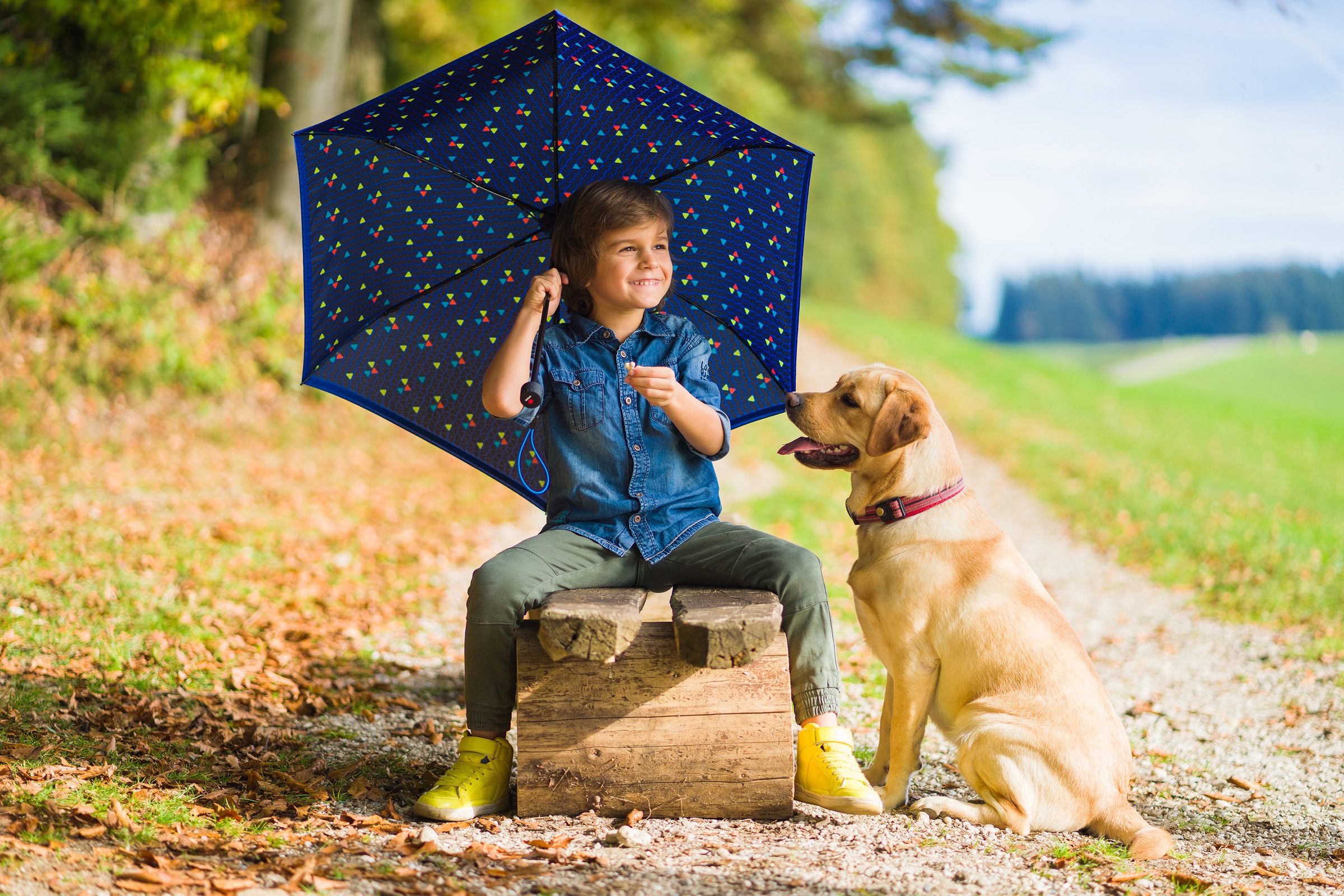 Knirps® Taschenregenschirm »Rookie manual, triple blue reflective«, für  Kinder; mit umlaufendem, reflektierendem Band