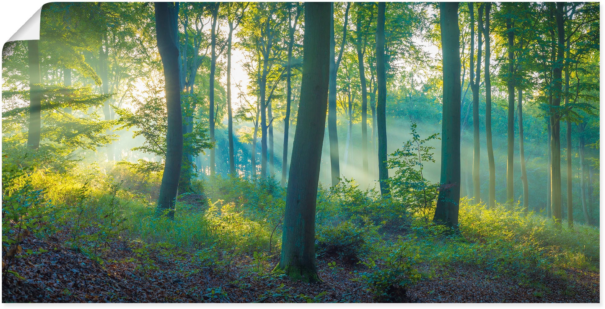 Artland Wandbild "Wald Panorama", Waldbilder, (1 St.), als Alubild, Outdoor günstig online kaufen