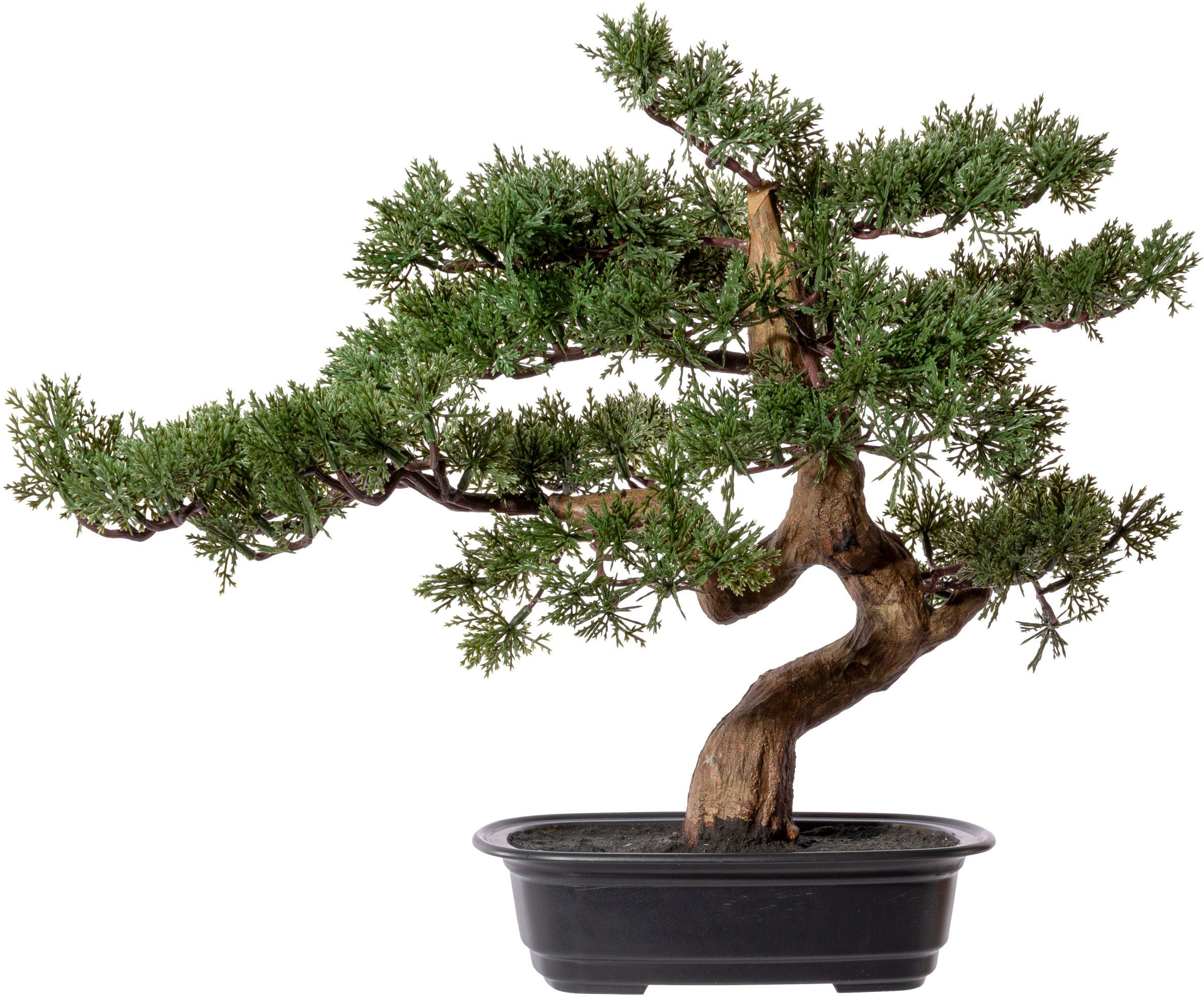 Creativ green Kunstbonsai "Bonsai Zeder"