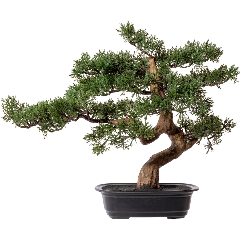 Creativ green Kunstbonsai »Bonsai Zeder«