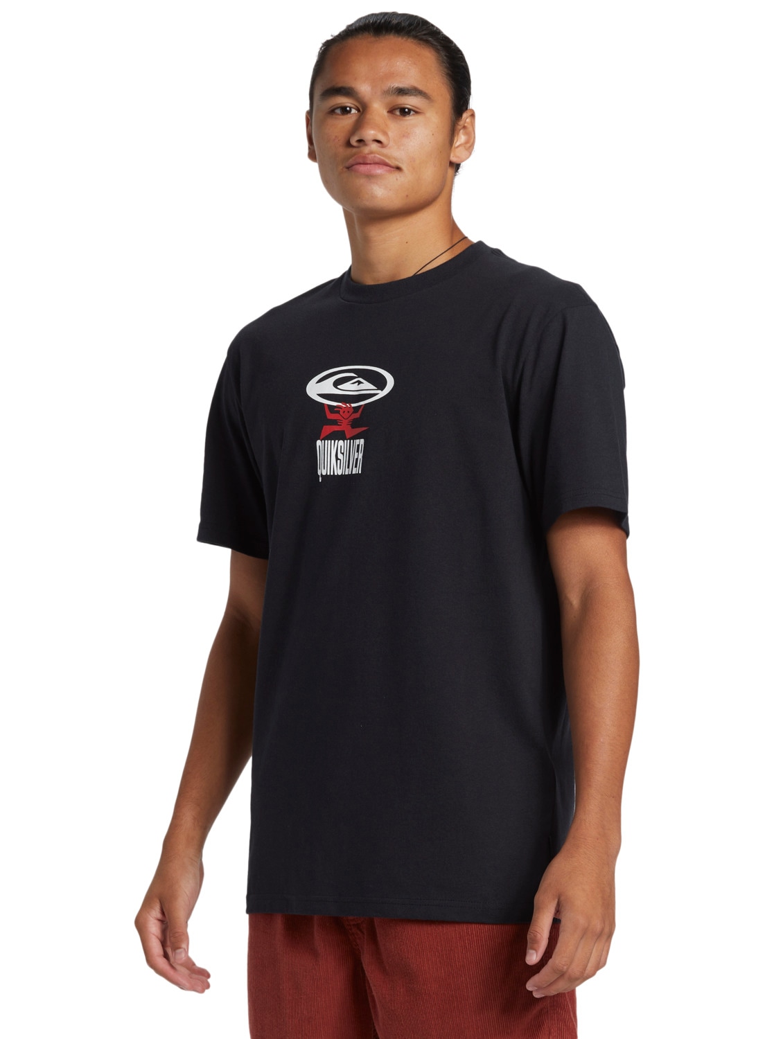 Quiksilver T-Shirt »Stand Strong«