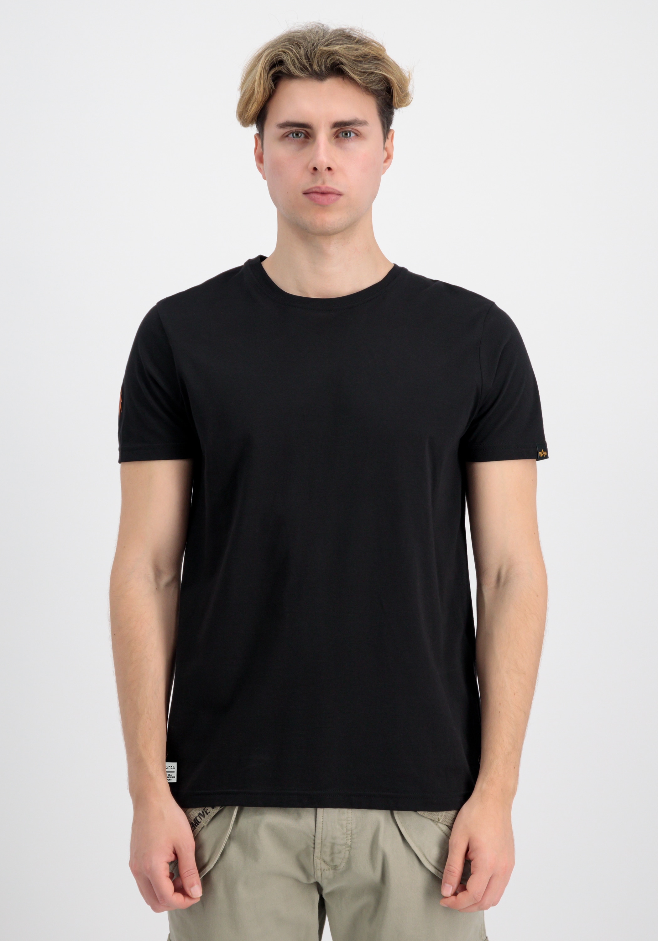 Alpha Industries T-Shirt "Dragon EMB T-Shirt" günstig online kaufen