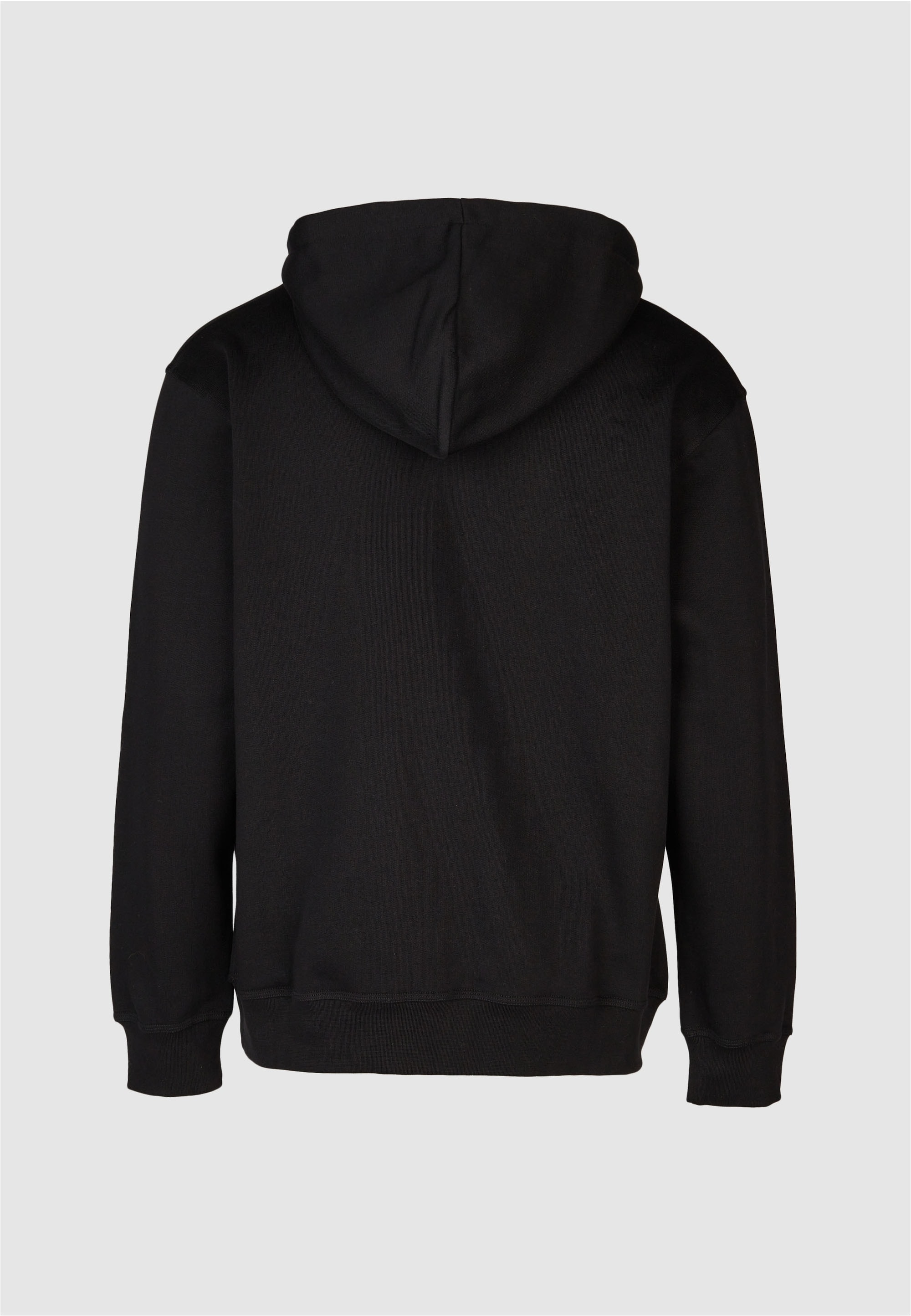 Cleptomanicx Kapuzensweatshirt »Quick«, mit großem Frontprint