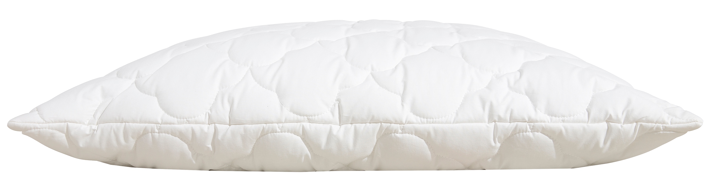 Beco Kopfkissen »EcoWell«, Füllung: Polyester, Bezug: Bio-Baumwolle oder nachhaltiger Microfaser-Feinbatist samtweich, (1 St.), Kissen in den Größen 40x80 cm und 80x80 cm erhältlich!