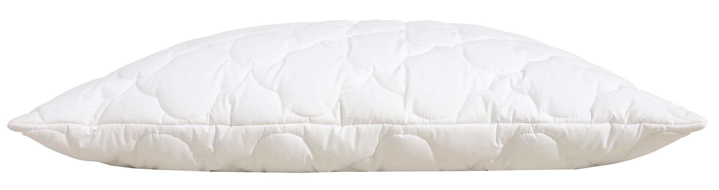 Beco Kopfkissen "EcoWell" Füllung: Polyester 1 Stk. tlg. Kissen in den Größ günstig online kaufen