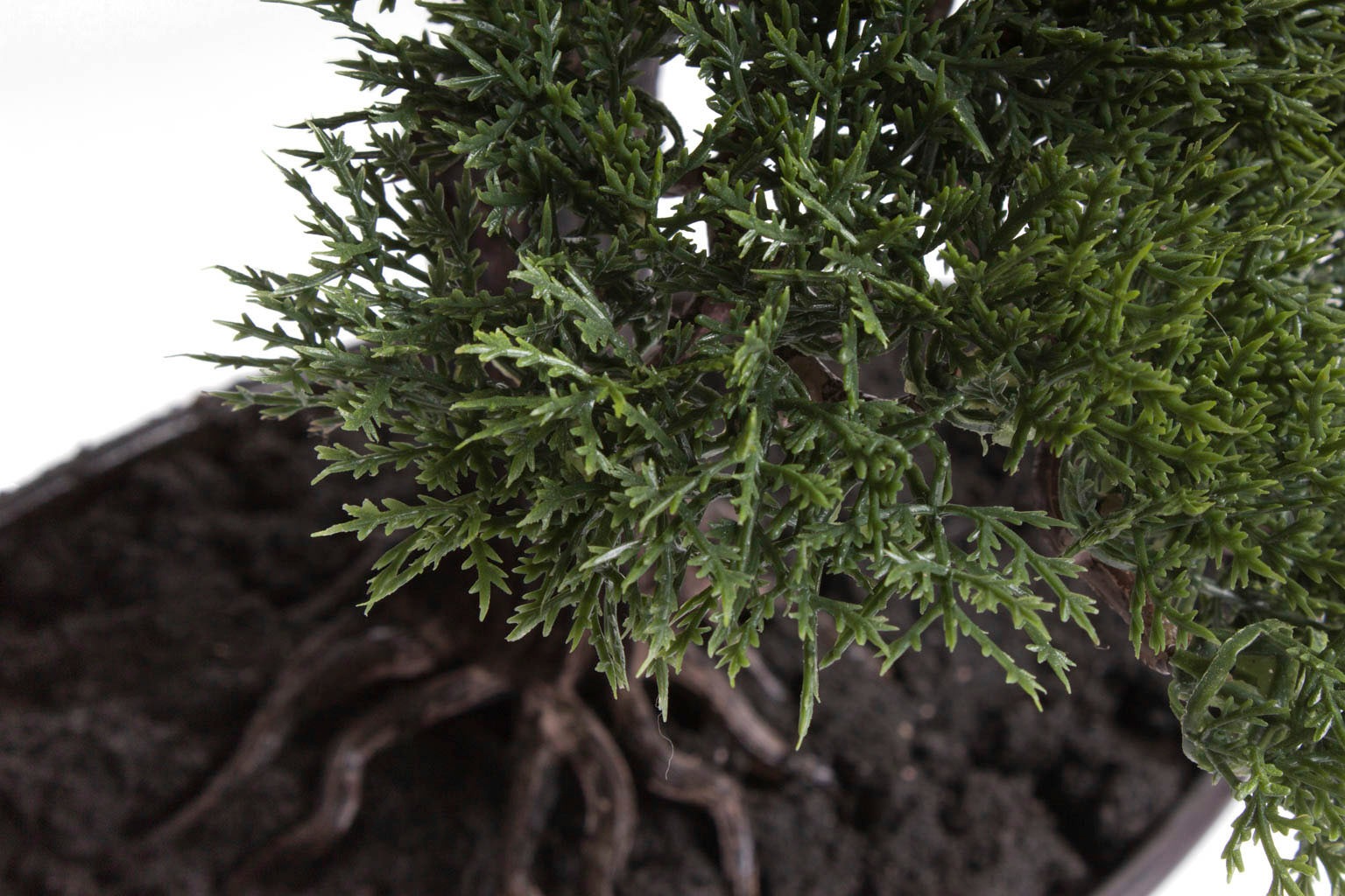 Botanic-Haus Kunstbonsai "Cedern Bonsai" günstig online kaufen