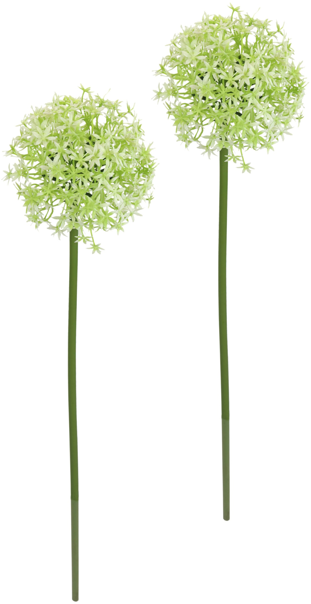 I.GE.A. Kunstblume "Allium Zierlauch", Stielblume künstliche Blumen, 2er Set