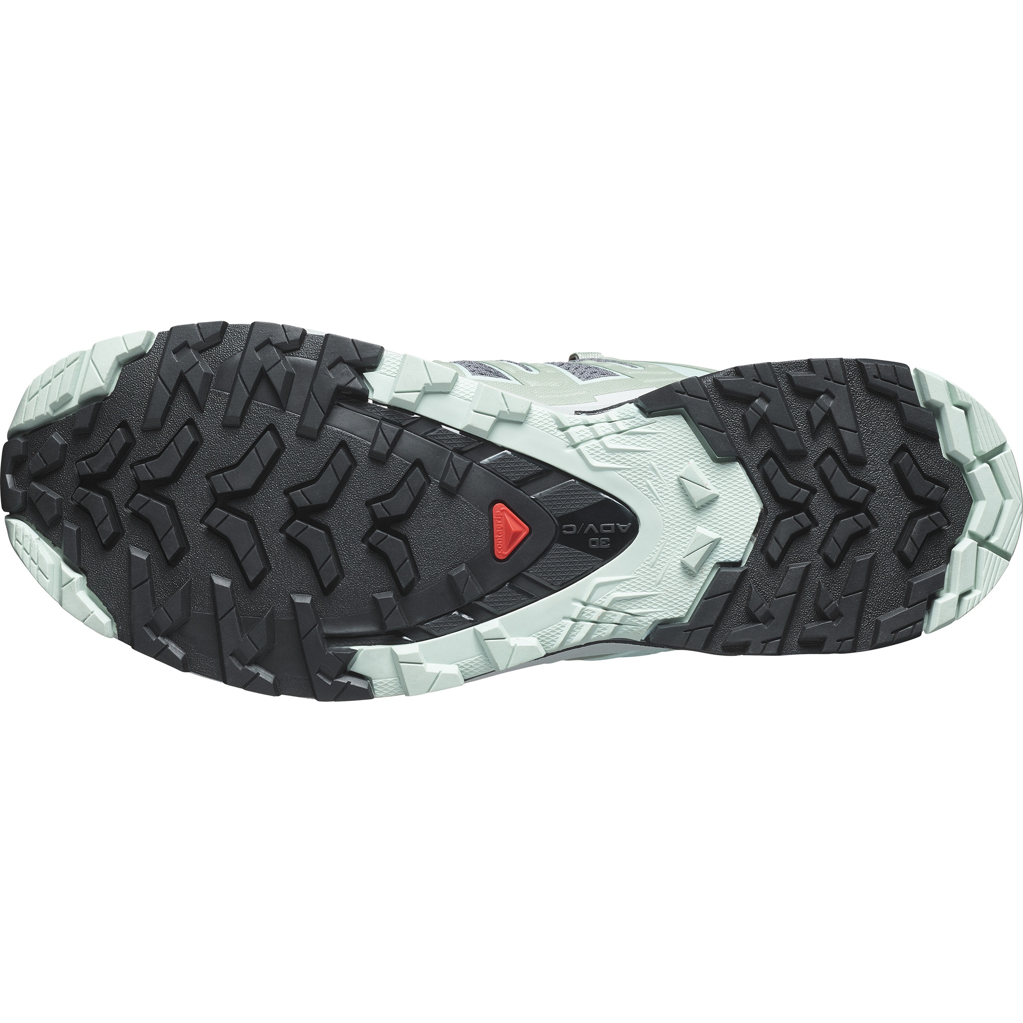 Salomon Trailrunningschuh »XA PRO 3D V9«
