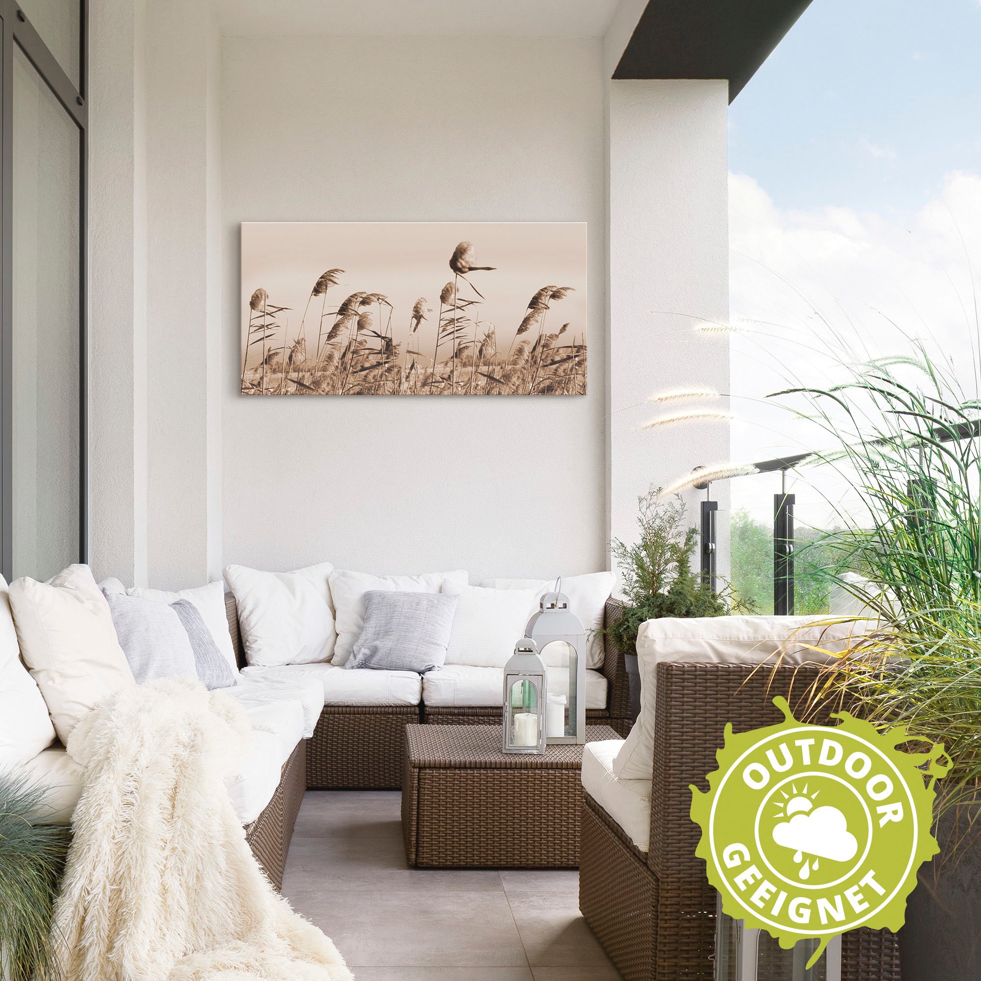 Artland Wandbild »Gräser«, Gräser, (1 St.), als Alubild, Outdoorbild, Leinwandbild, Poster, Wandaufkleber