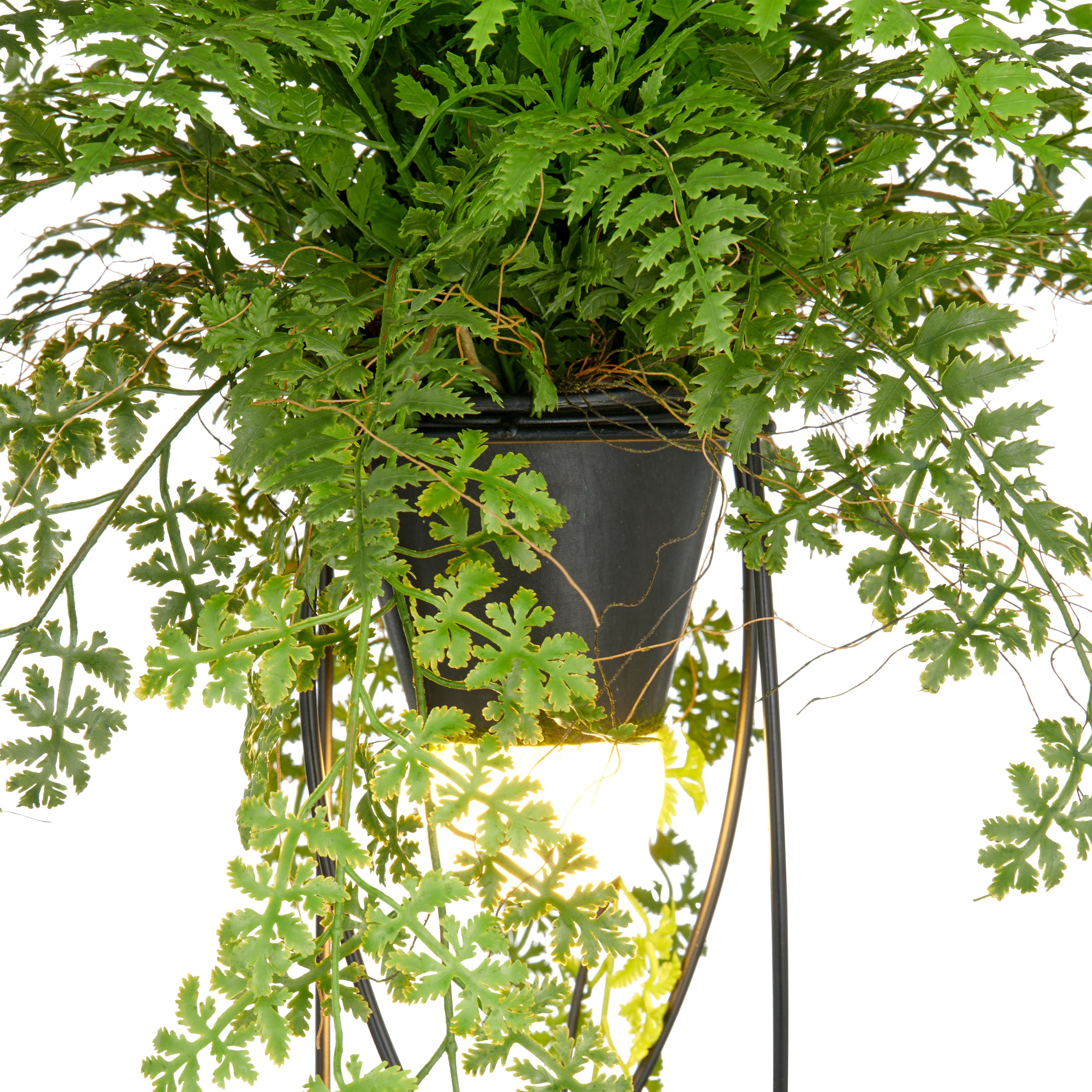Creativ green Kunstpflanze »Farn als Dekostandleuchte«, mit LED-Beleuchtung