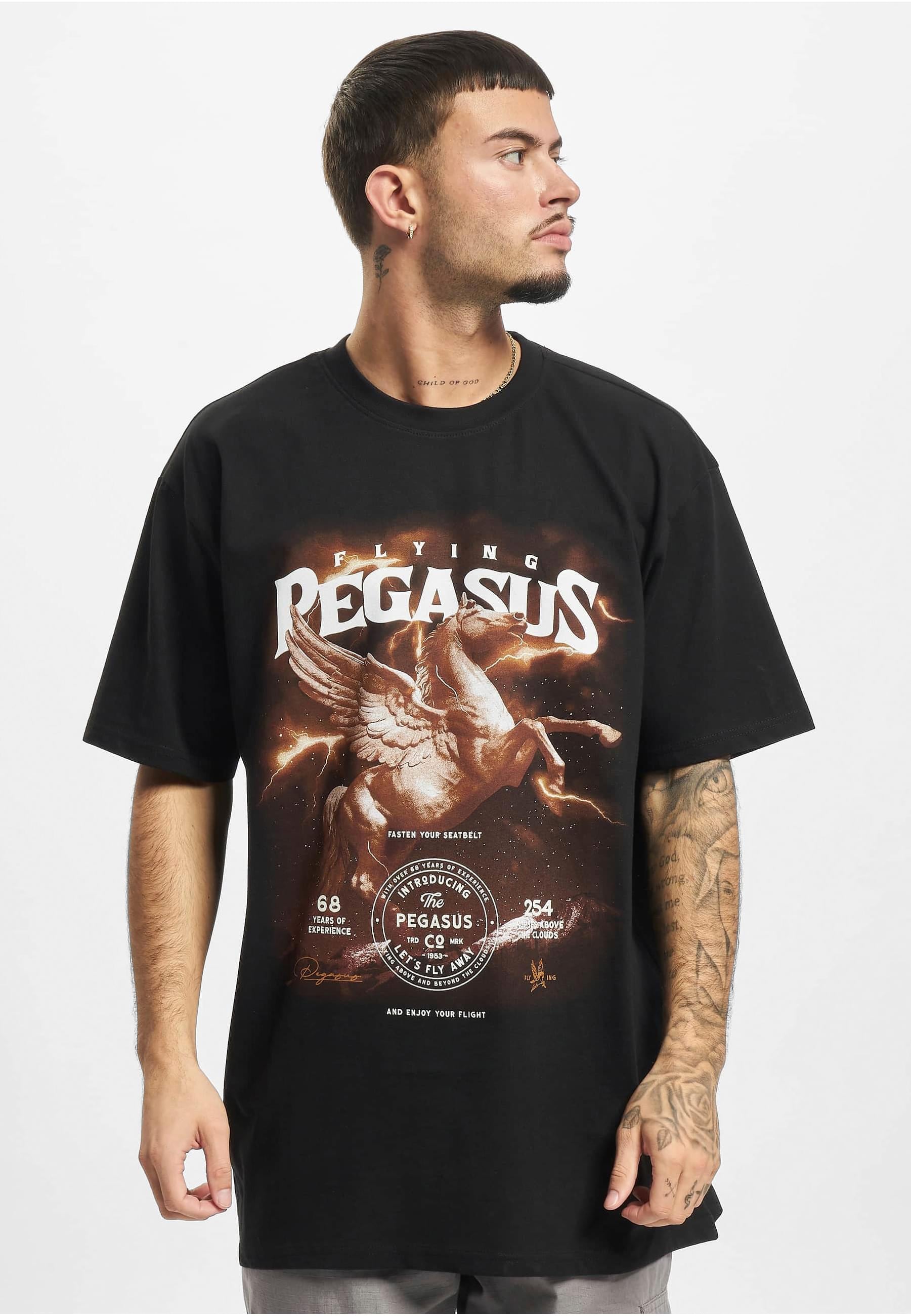 MisterTee T-Shirt »MisterTee Unisex Pegasus Oversize Tee«, (1 tlg.)