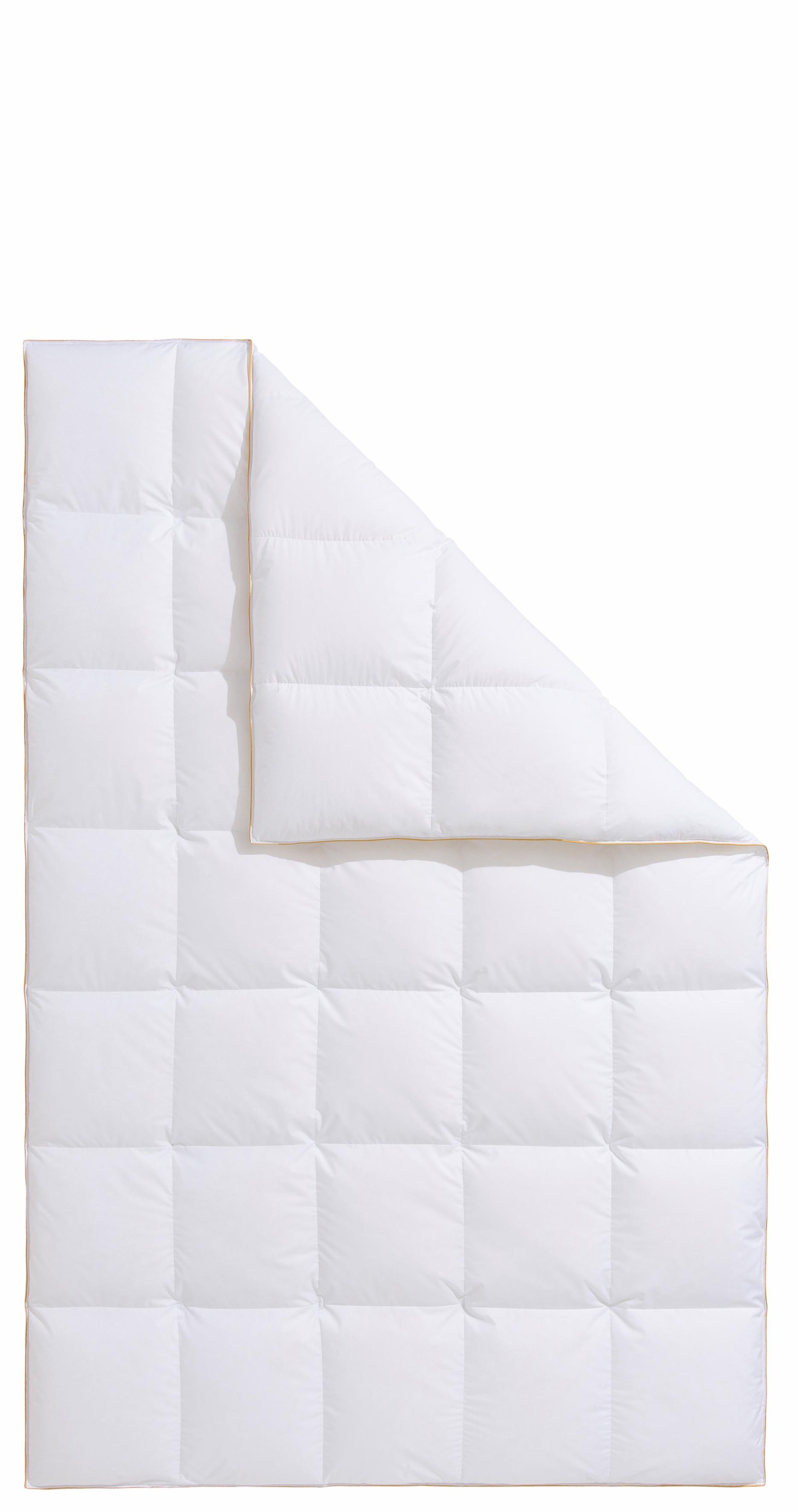 Frau Holle Gänsedaunenbettdecke "Dana, Bettdecken für Sommer oder Winter, h günstig online kaufen