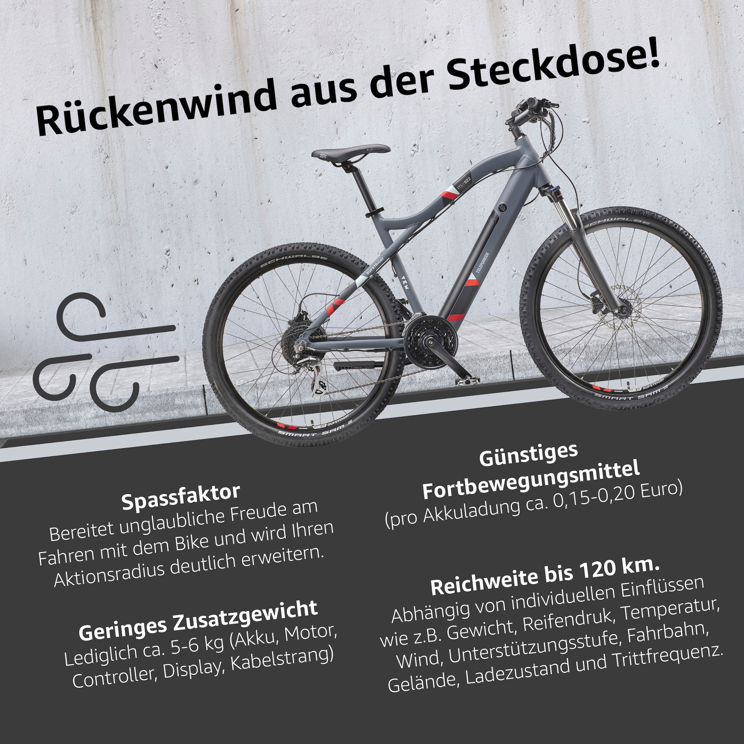 Telefunken E-Bike »Aufsteiger M922«, 24 Gang, Shimano, Acera, Heckmotor 250 W, Pedelec