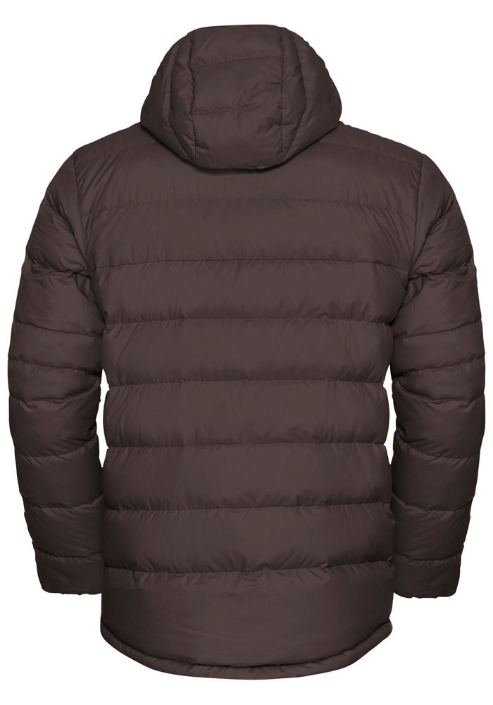 Jack Wolfskin Daunenjacke »ATHER DOWN HOODY M RDS«, mit Kapuze