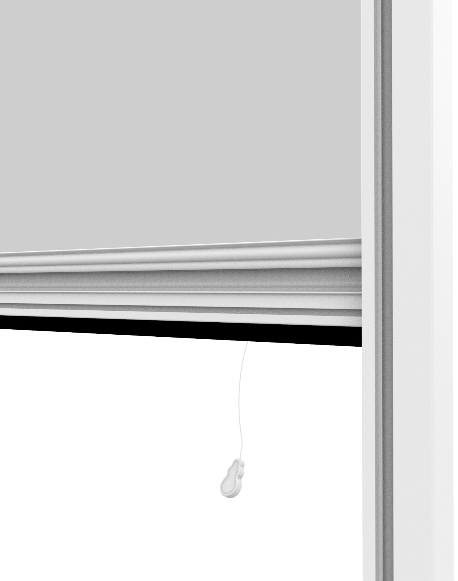 Windhager Insektenschutzrollo, transparent, Insektenschutz, BxH: 100x160 cm