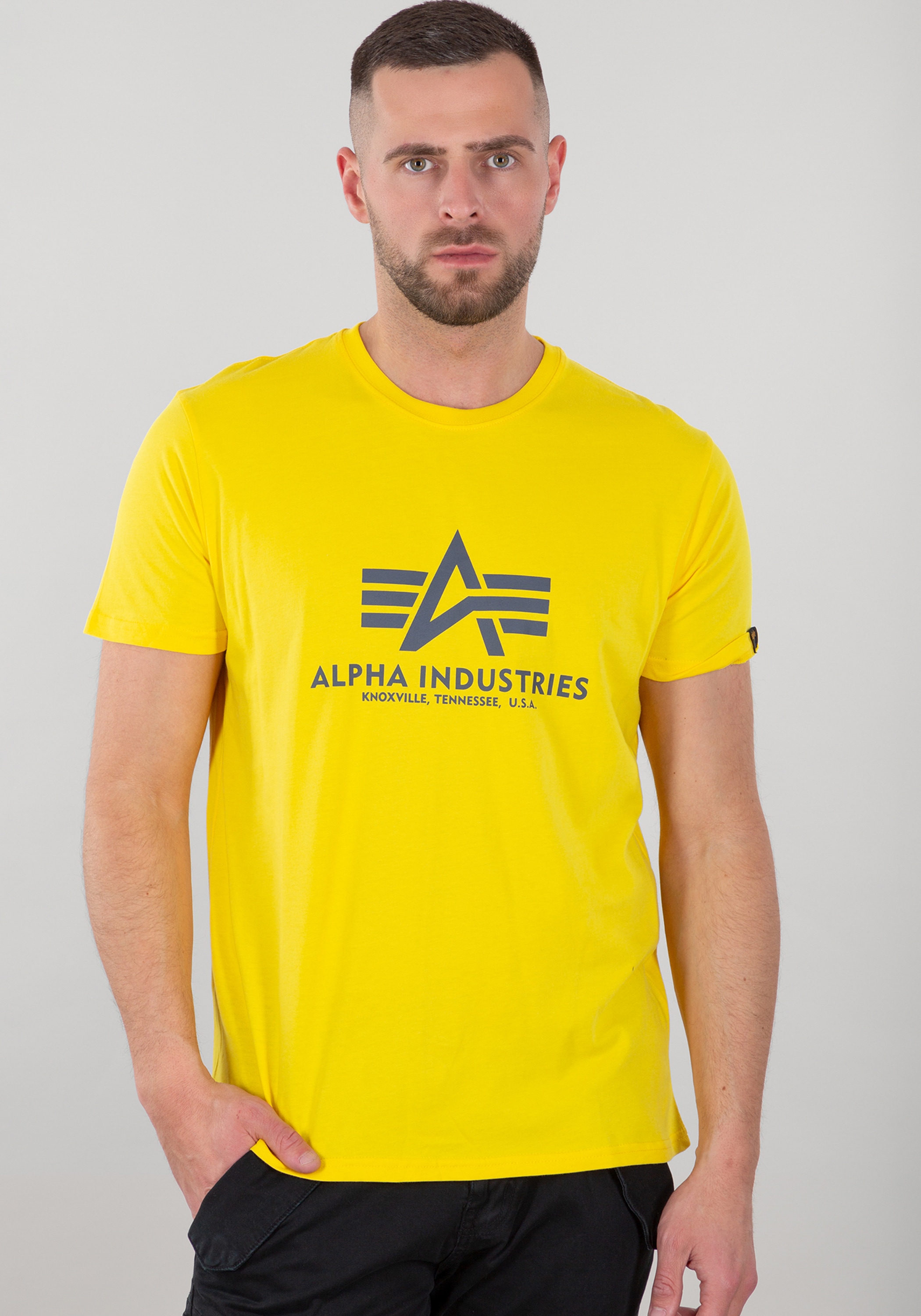 Alpha Industries T-Shirt »Alpha Industries Men - T-Shirts Basic T-Shirt BL«