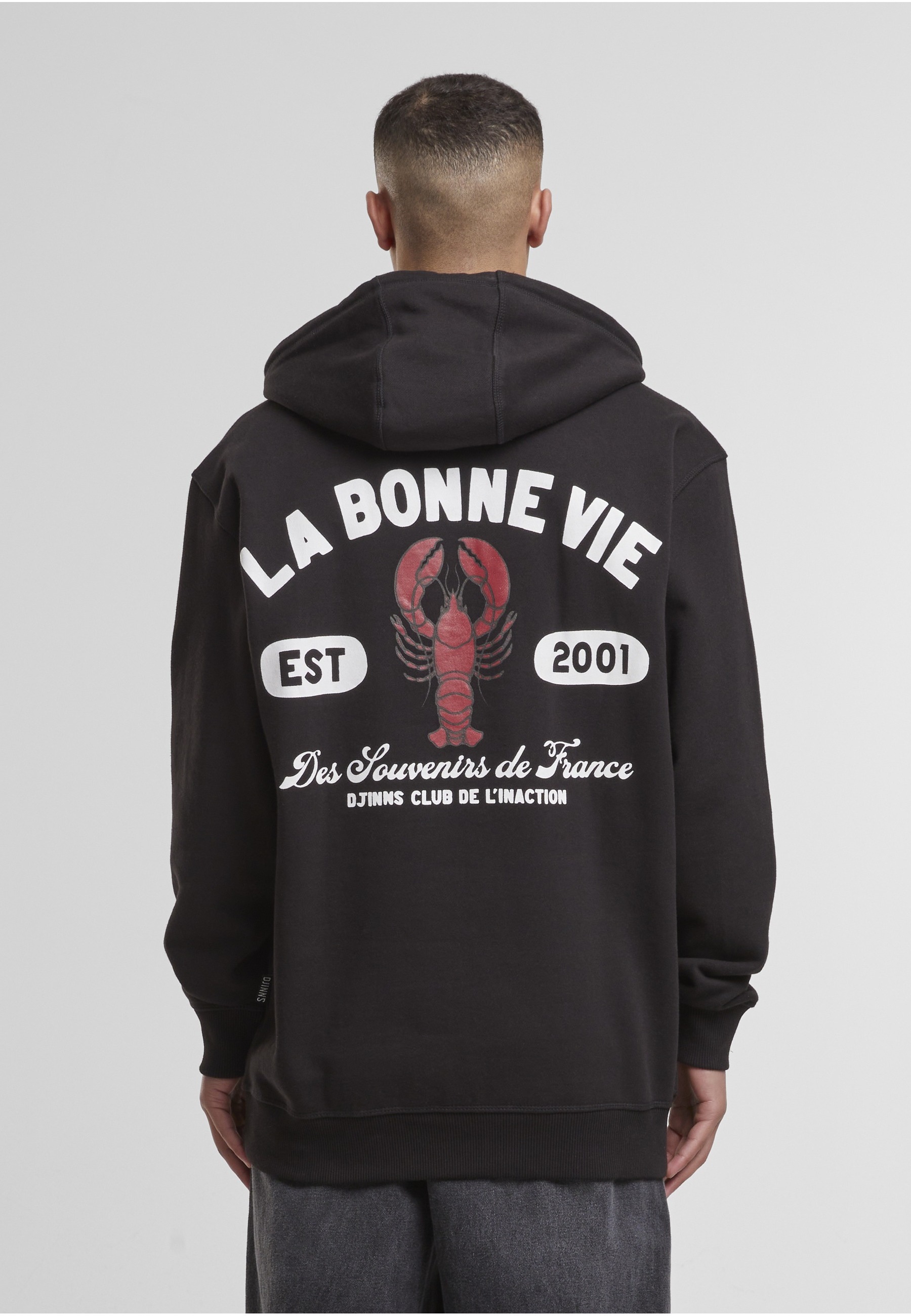 Djinns Kapuzensweatshirt »Djinns Djinns La Bonne Vie Hoodies«, 1 Stk.
