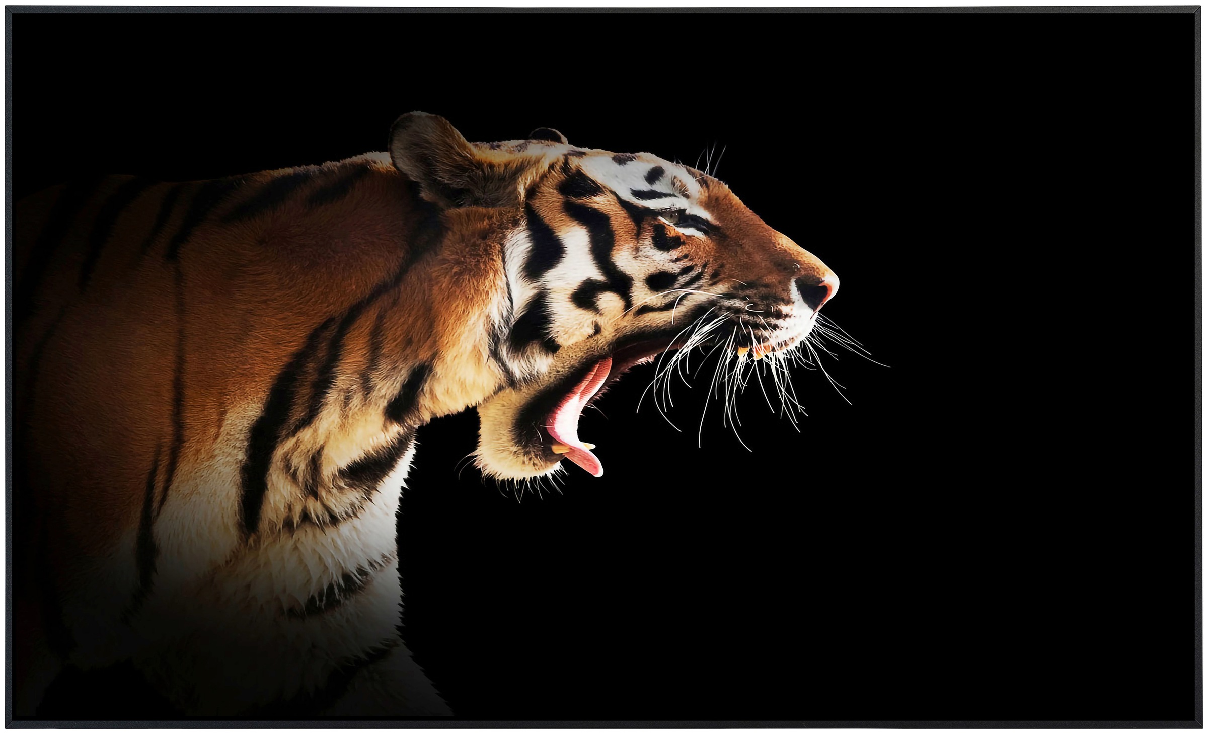 Papermoon Infrarotheizung »Brüllender Tiger«, sehr angenehme Strahlungswärme