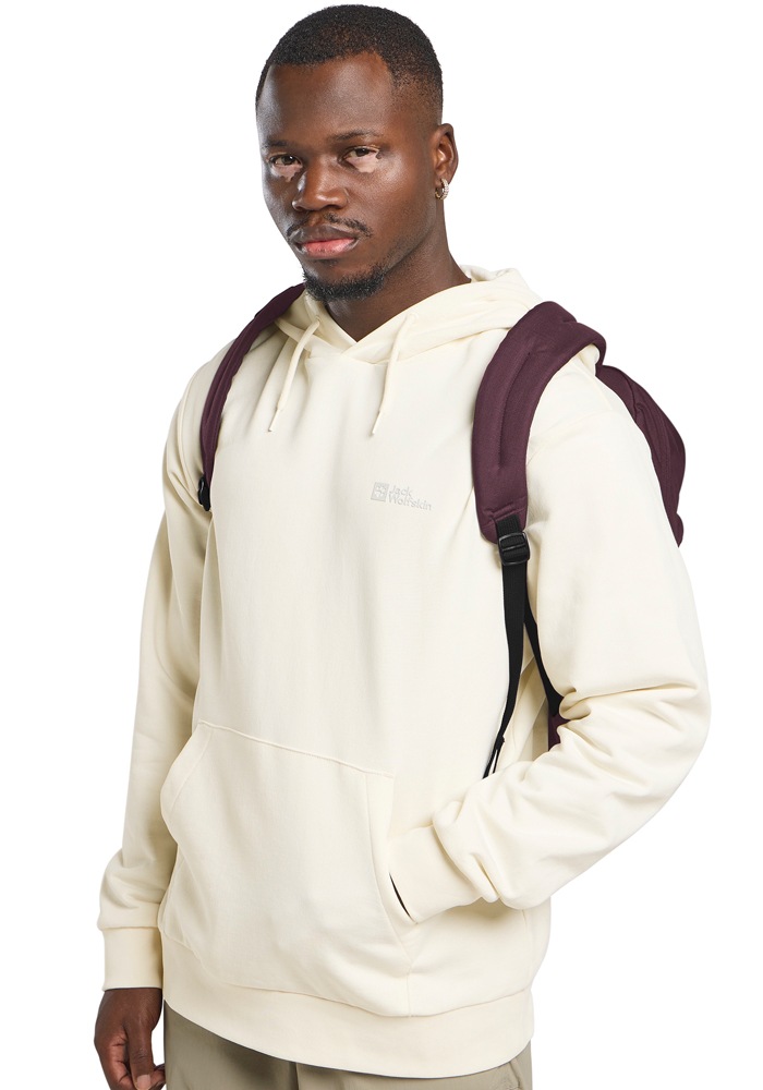 Jack Wolfskin Daypack »TERRAVIEW«