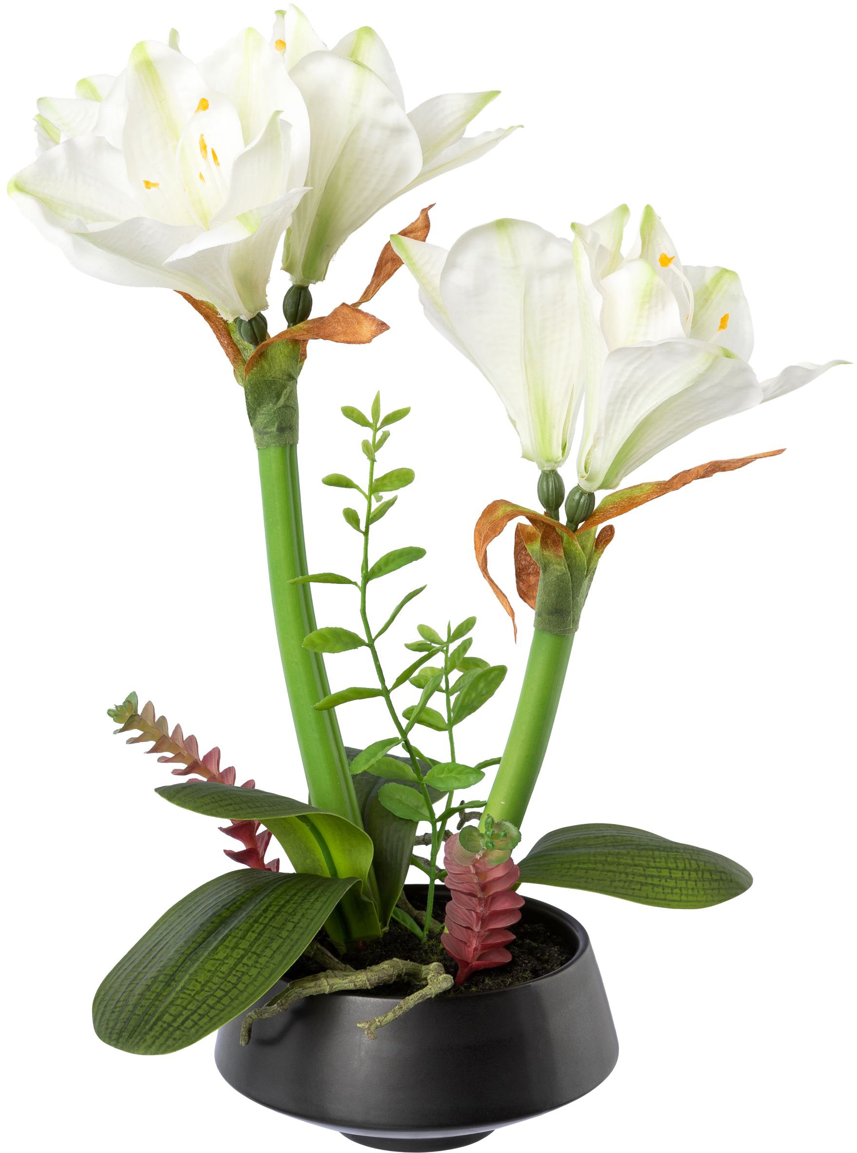 Creativ green Winterliche Kunstpflanze »Weihnachtsdeko«, üppige Blütenpracht im Keramiktopf