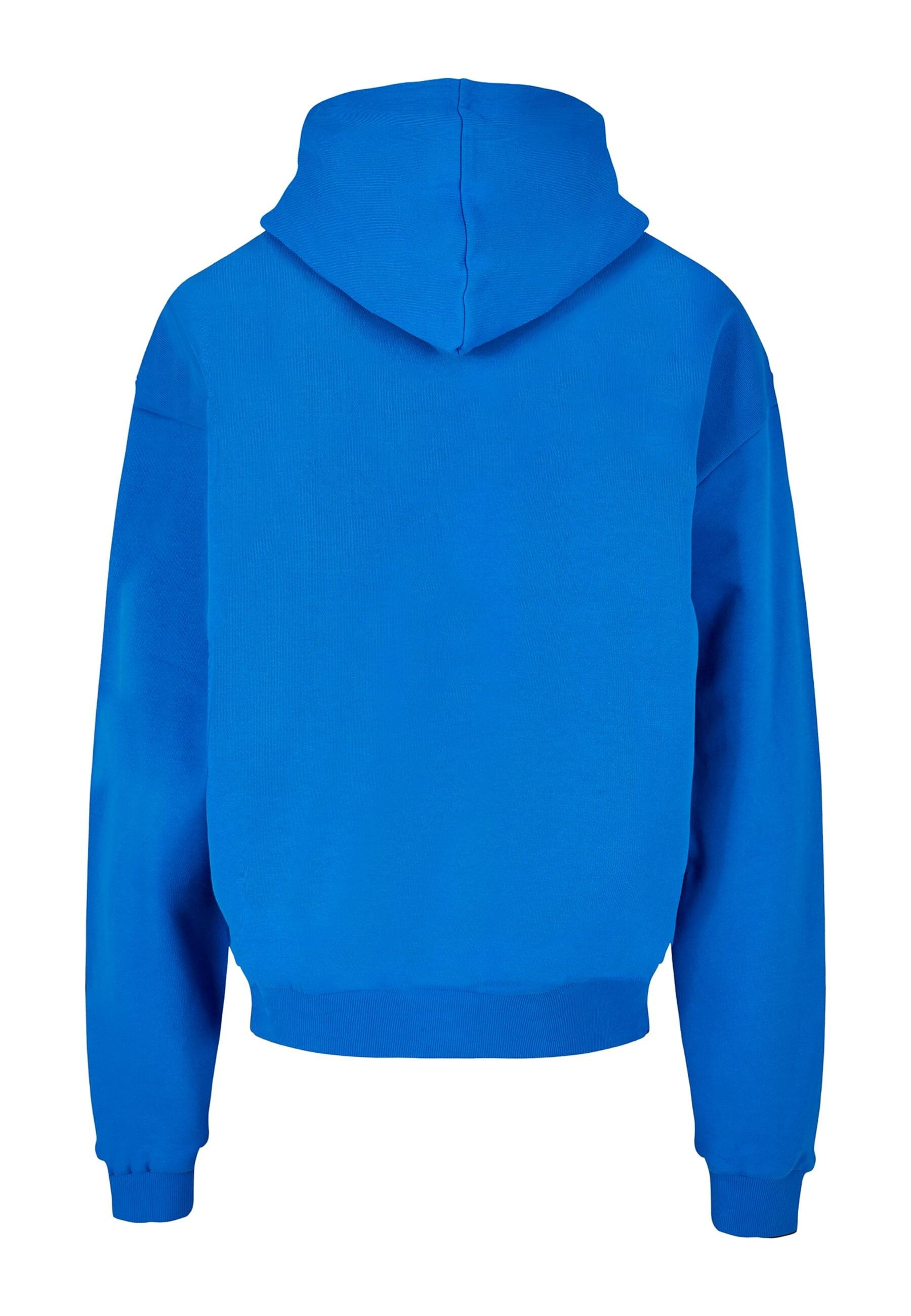 MisterTee Kapuzensweatshirt »MisterTee Flamingo Hoodie«, (1 tlg.)