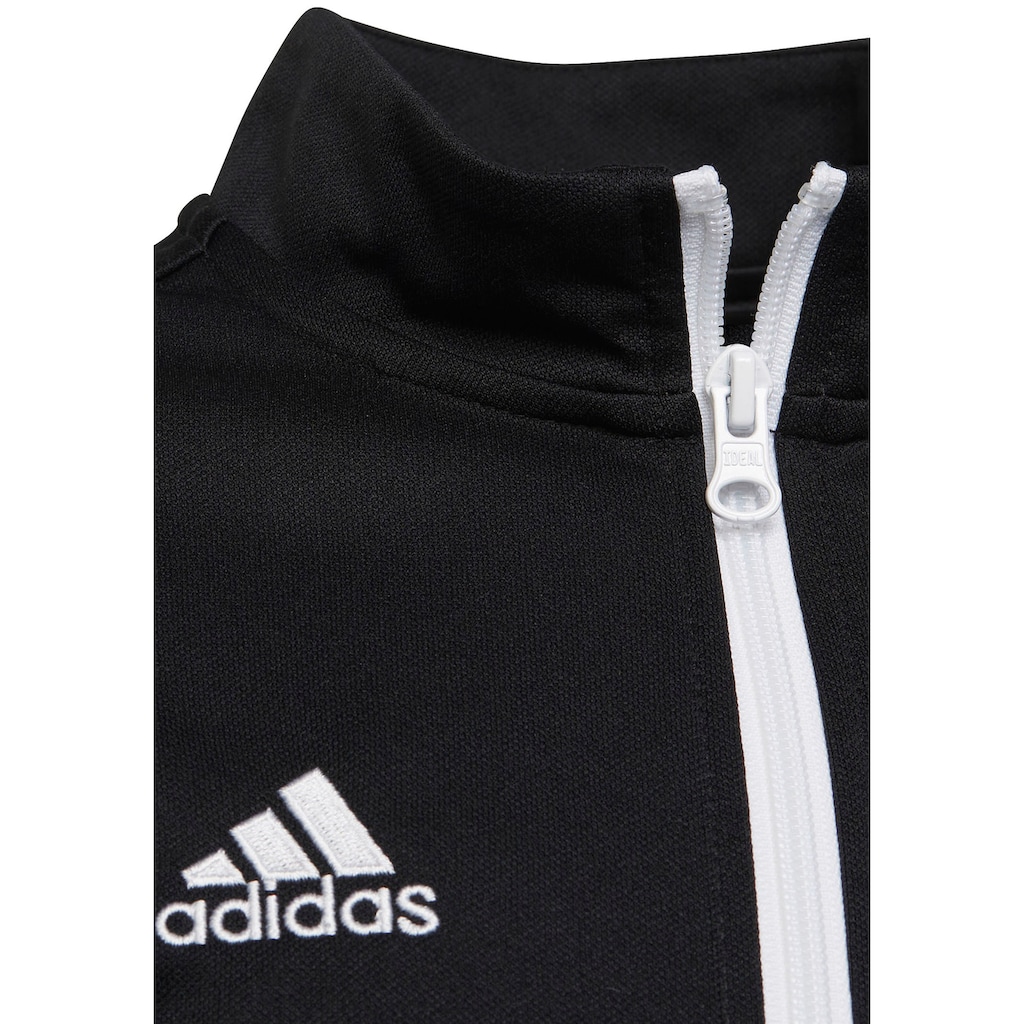 adidas Performance Trainingsjacke »ENT22 TK JKTY«