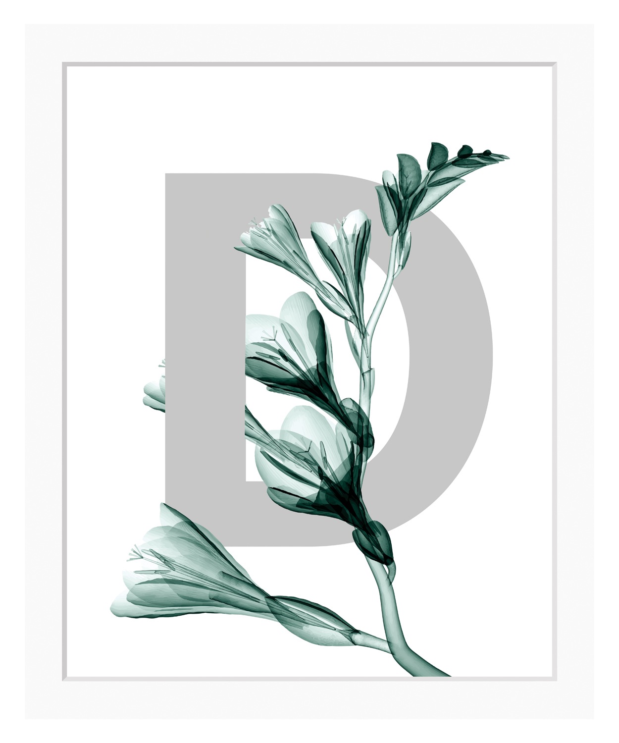 queence Bild "D-Flower", Buchstaben, Blume, Blätter, gerahmt