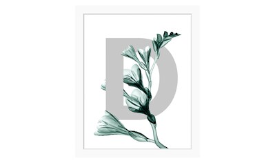 Bild »D-Flower«, Buchstaben, Blume, Blätter, gerahmt