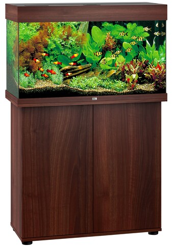 JUWEL AQUARIEN Aquarien-Set »Rio 125 LED«, BxTxH: 81x36x123 cm, 125 l, mit Unterschrank kaufen