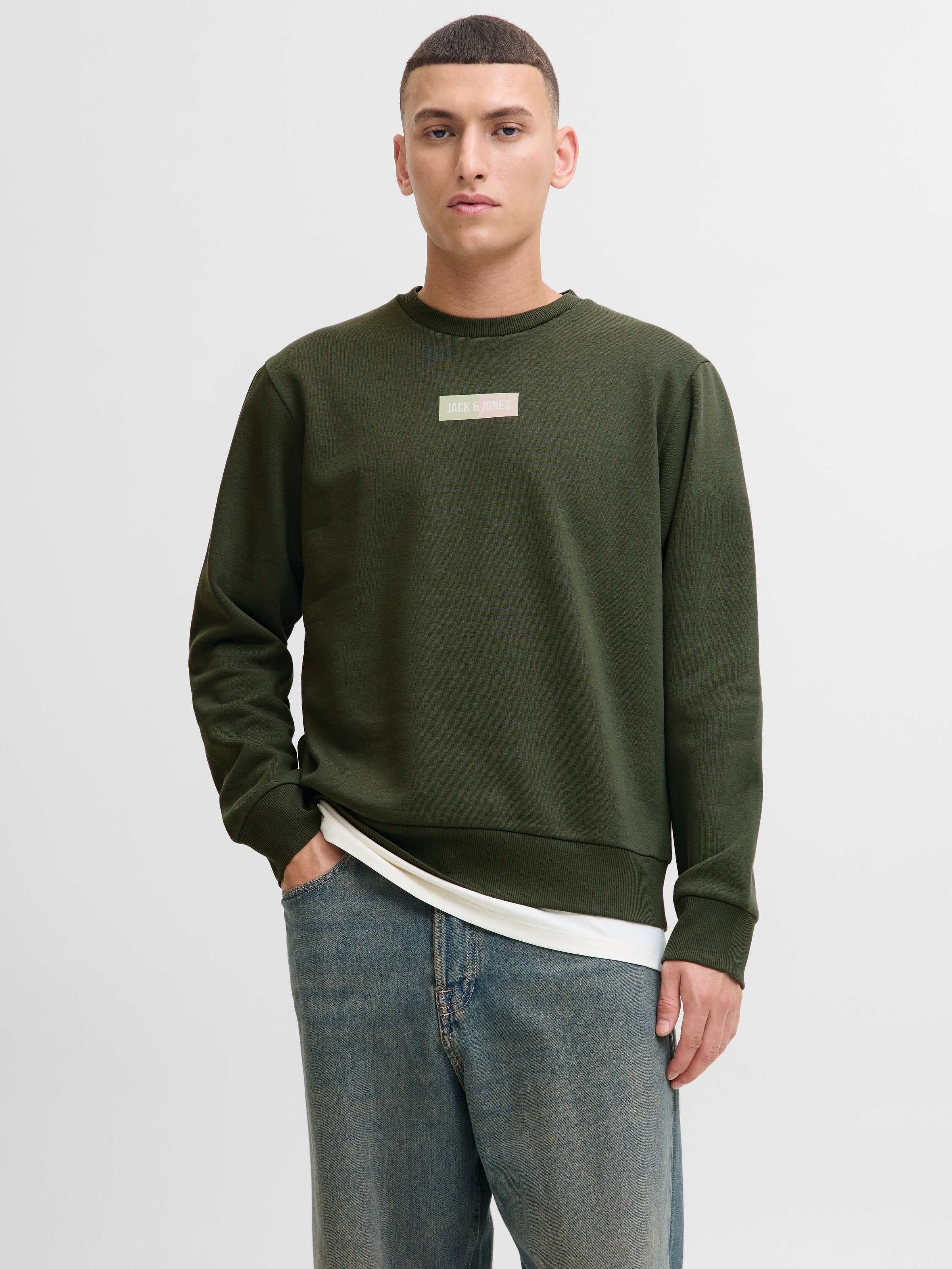 Jack & Jones Sweater "JJPAN SWEAT CREW NECK" günstig online kaufen