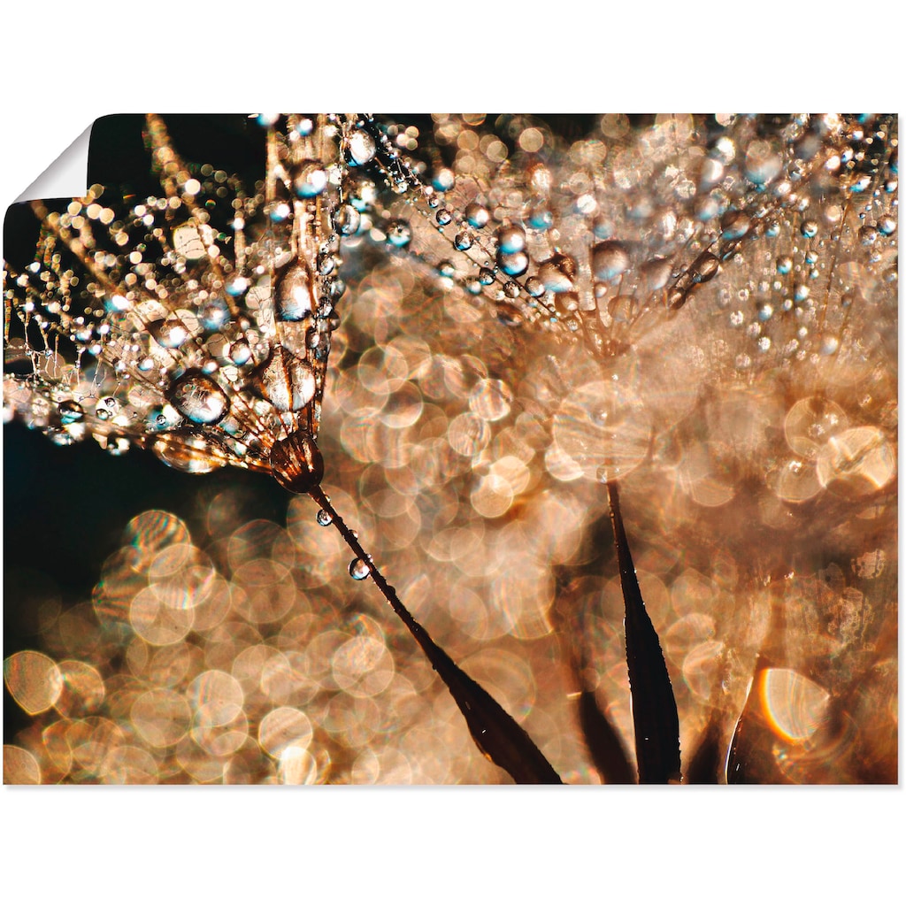 Artland Wandbild »Pusteblume Goldschimmer«, Blumen, (1 St.)