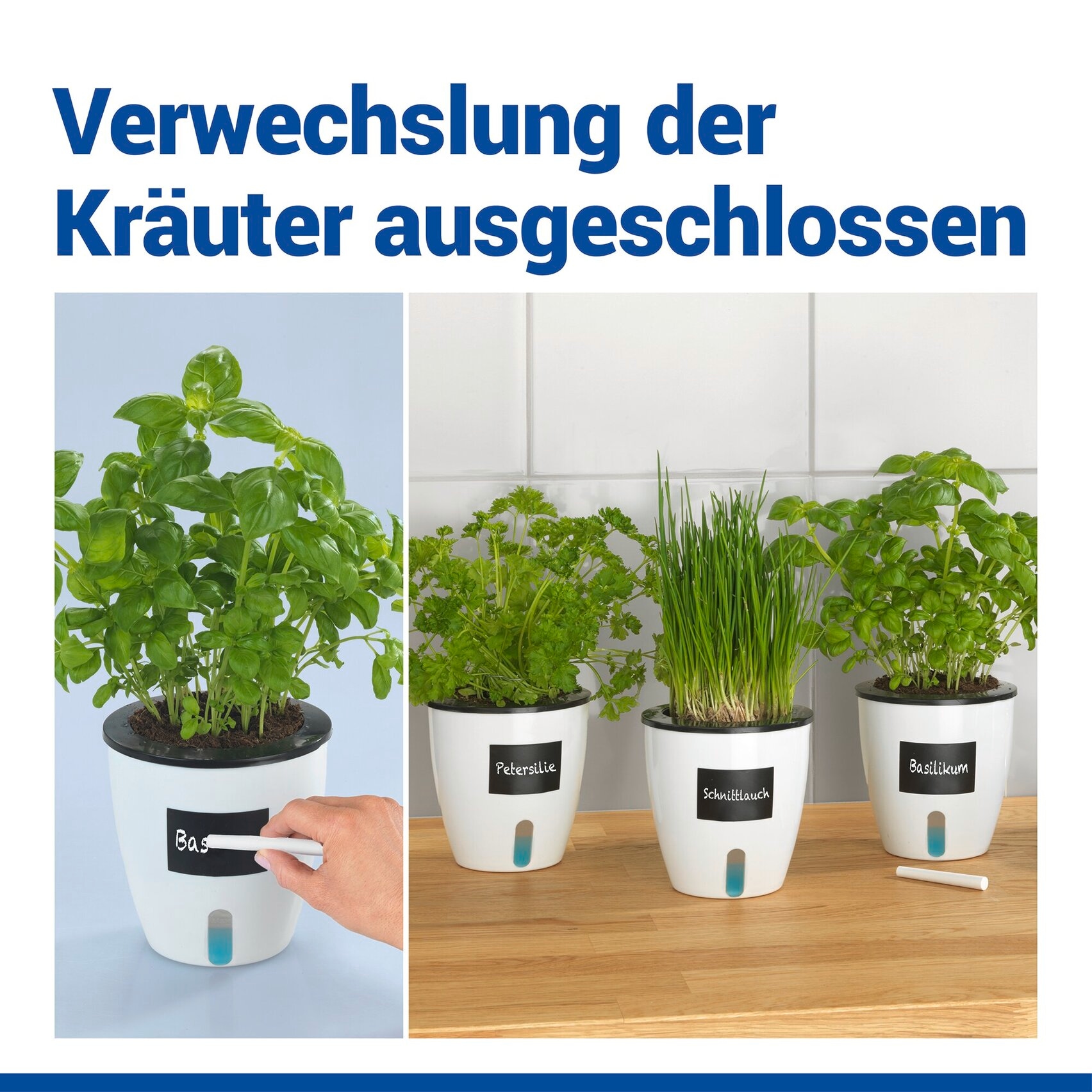 Maximex Pflanzschale »Selbstbewässernde Pflanztöpfe« 13x13,5 cm, mit Wasserstandsanzeige