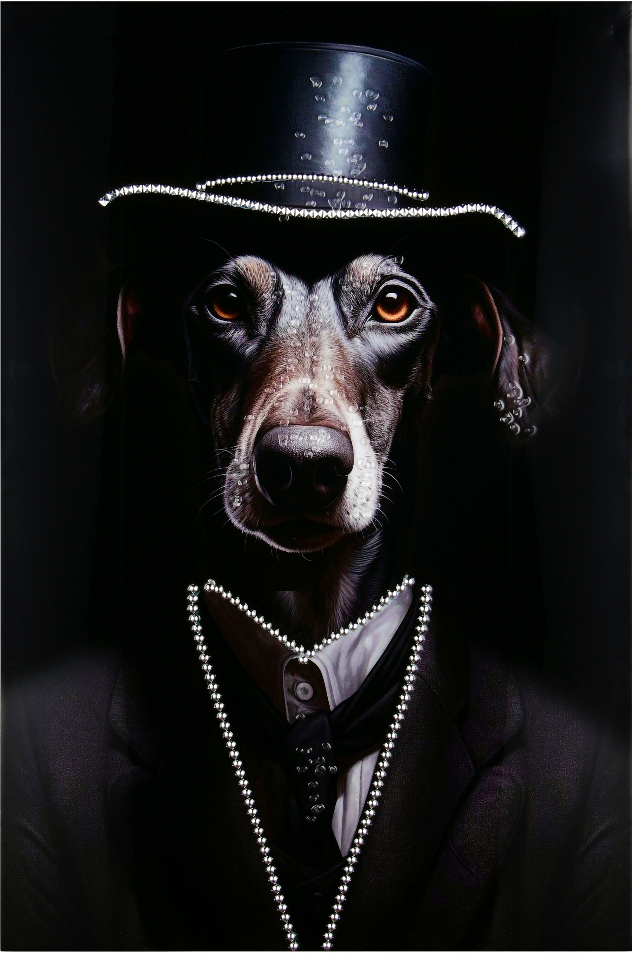 MIRRORS AND MORE Kunstdruck "LINUS" 1 Stk. tlg. Mix aus Tierporträt und Mod günstig online kaufen