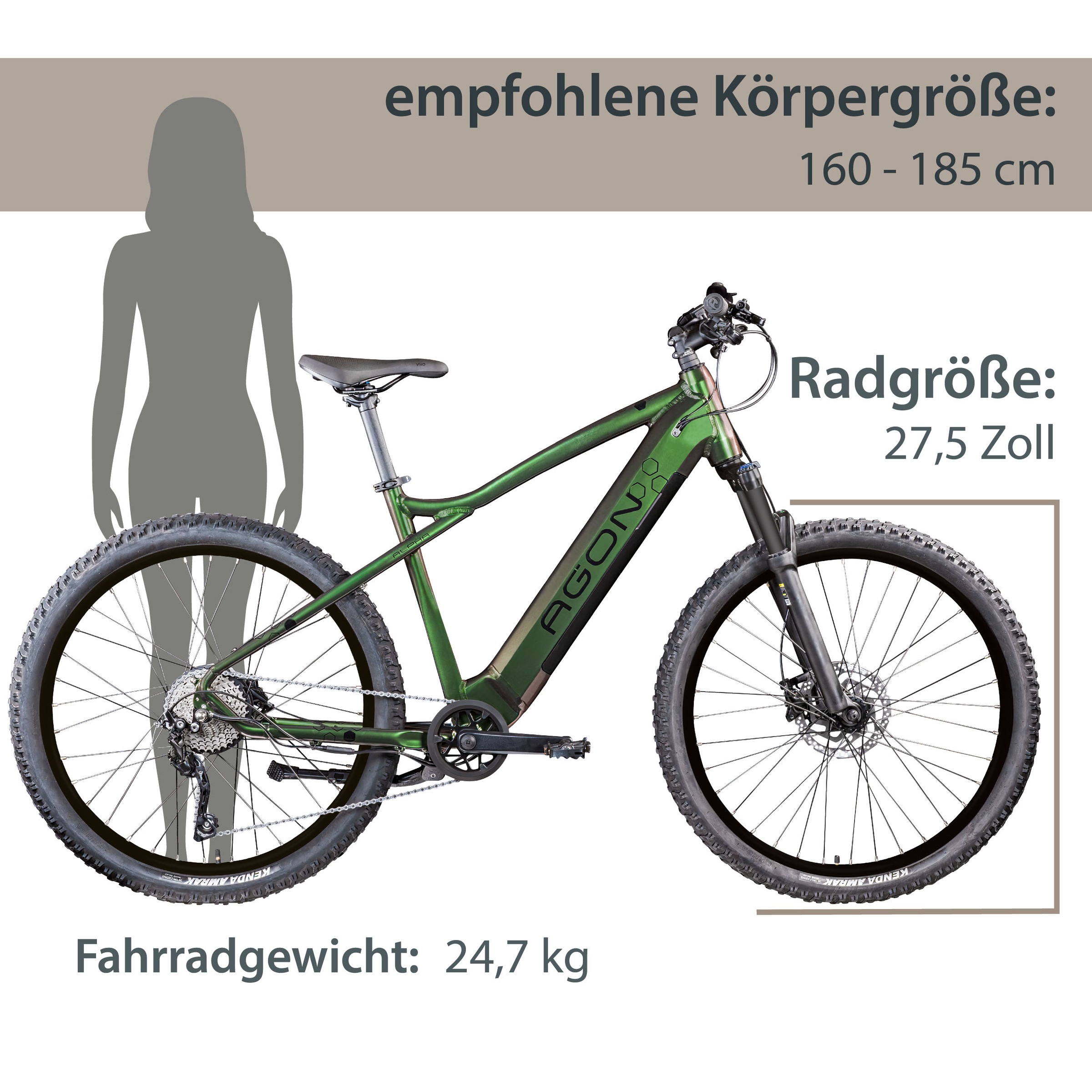 Thumbnail - AGON E-Bike "Alpha", 10 Gang, Deore SGS T6000, Heckmotor 250 W, Pedelec, Elektrofahrrad für Damen u. Herren, MTB