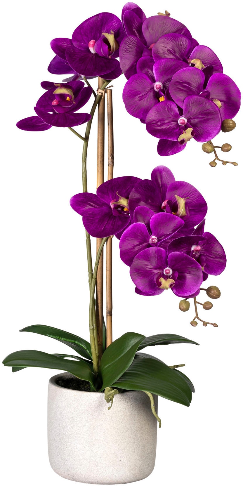 Kunstorchidee »Phalaenopsis«, im Zementtopf