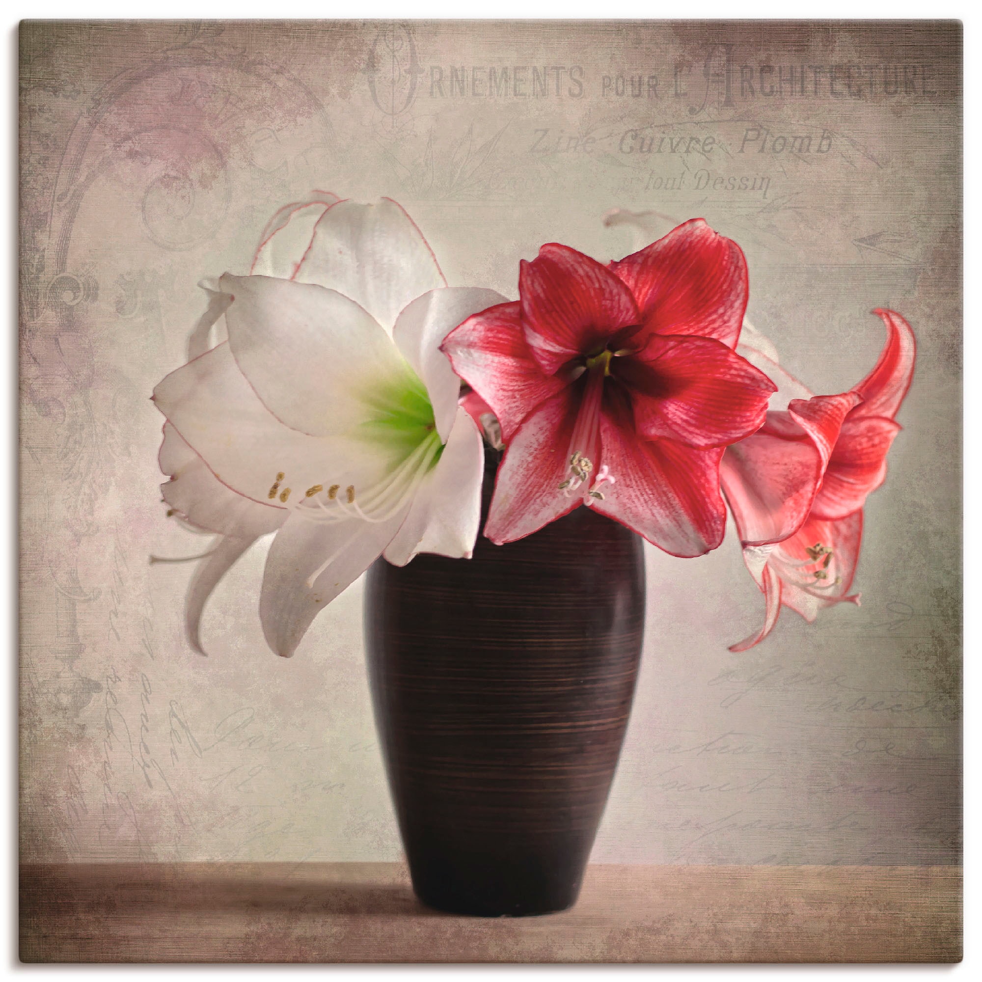 Artland Wandbild "Amaryllis Vintage I", Blumen, (1 St.), als Alubild, Outdo günstig online kaufen