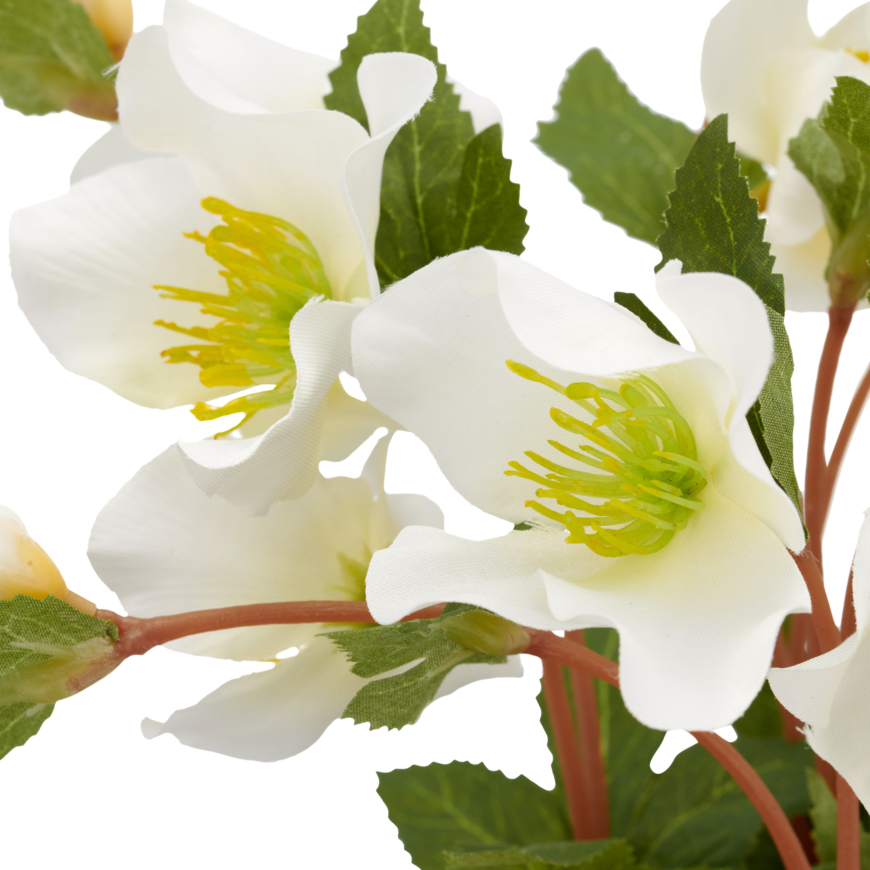 Thumbnail - Creativ green Kunstblume "Christrose"