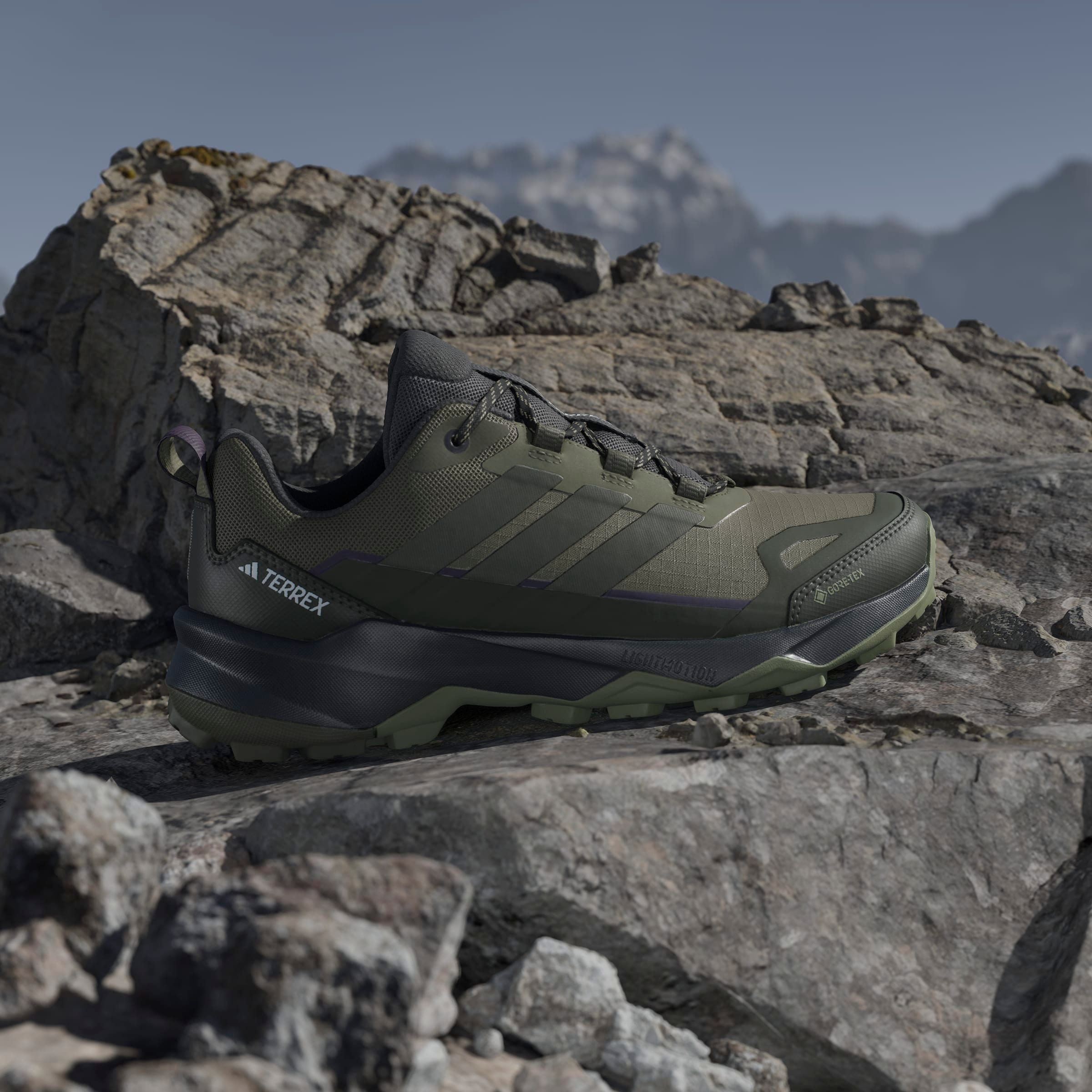 adidas TERREX Wanderschuh »TERREX SKYCHASER AX5 GORE-TEX«
