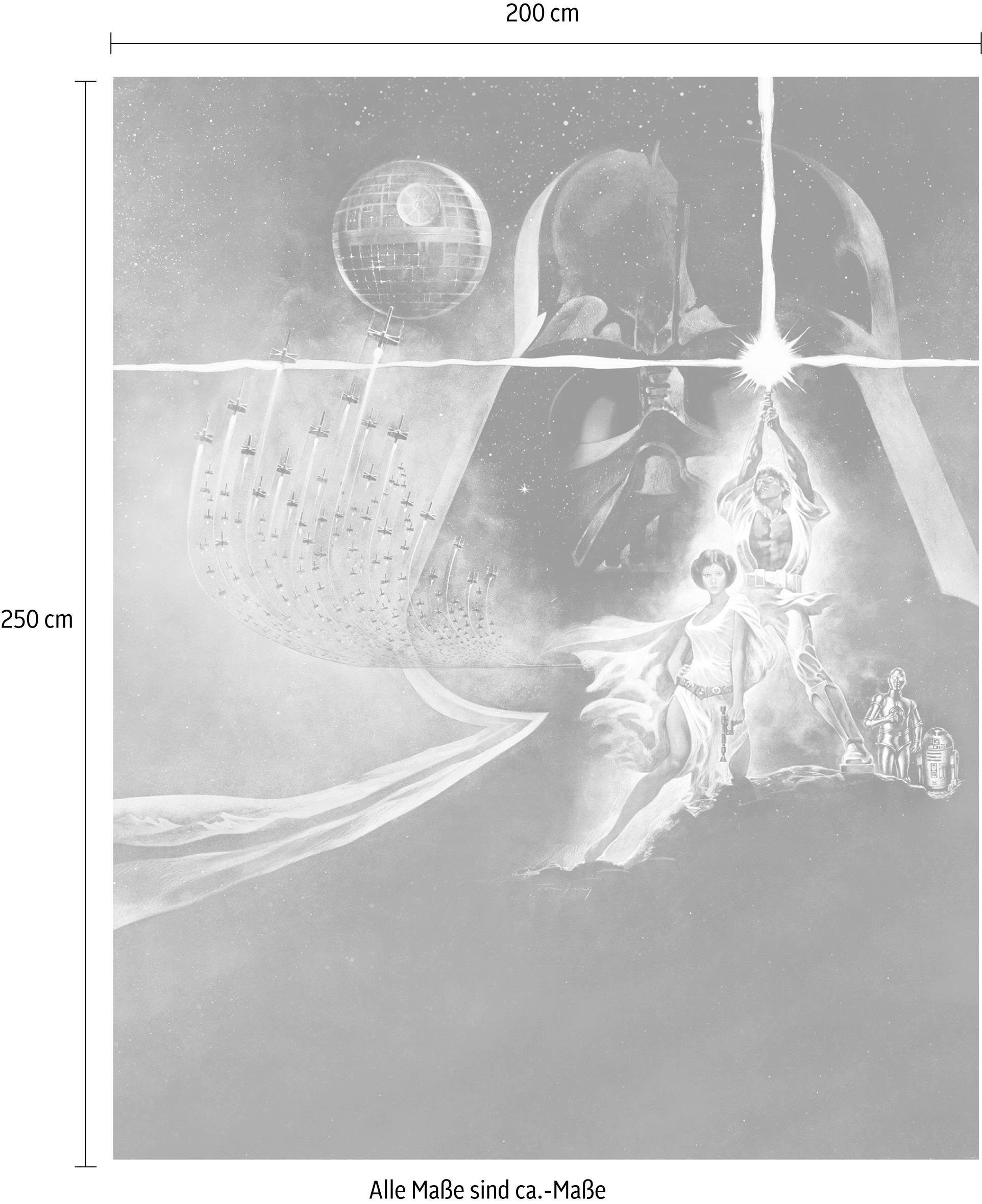 Komar Vliestapete »Star Wars Poster Classic2«, 200x250 cm (Breite x Höhe), Vliestapete, 100 cm Bahnbreite