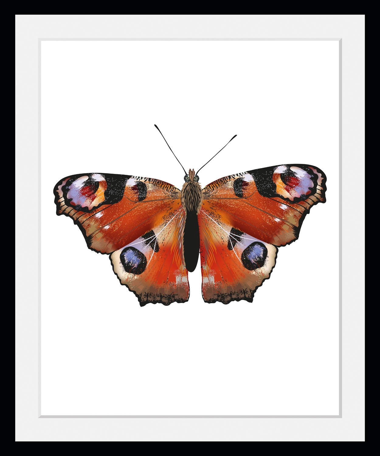 queence Bild "Lena" Insekten Kunst Schmetterlinge historische Ereignisse 1 Stk. tlg. HD Premium Poster-Druck inkl. Holzrahmen