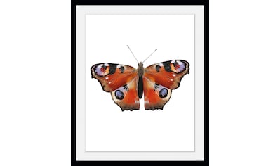 queence Bild »Lena«, Schmetterlinge, (1 St.) kaufen