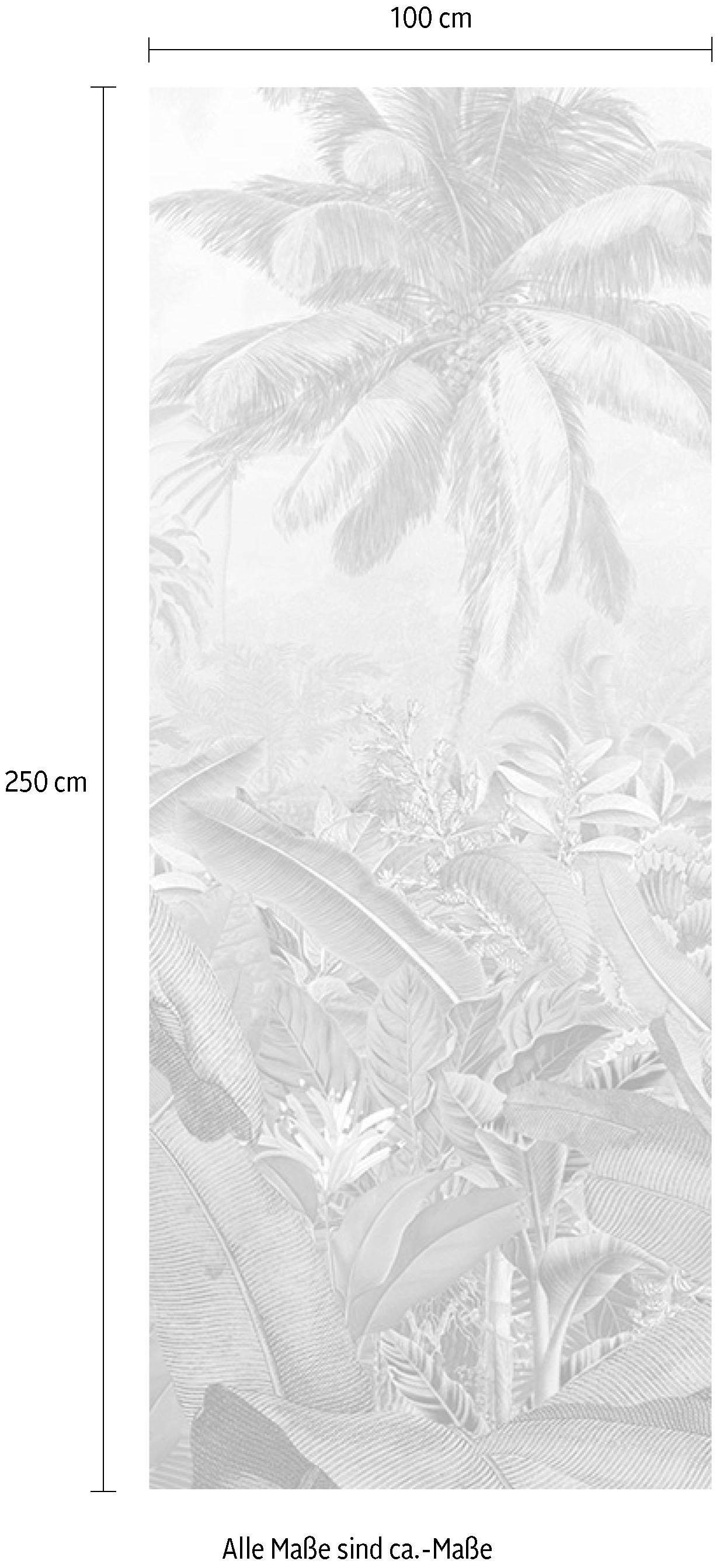 Komar Vliestapete »Digitaldruck Vlies -  Amazonia Black and White Panel« bedruckt glatt Wohnzimmer, Schlafzimmer