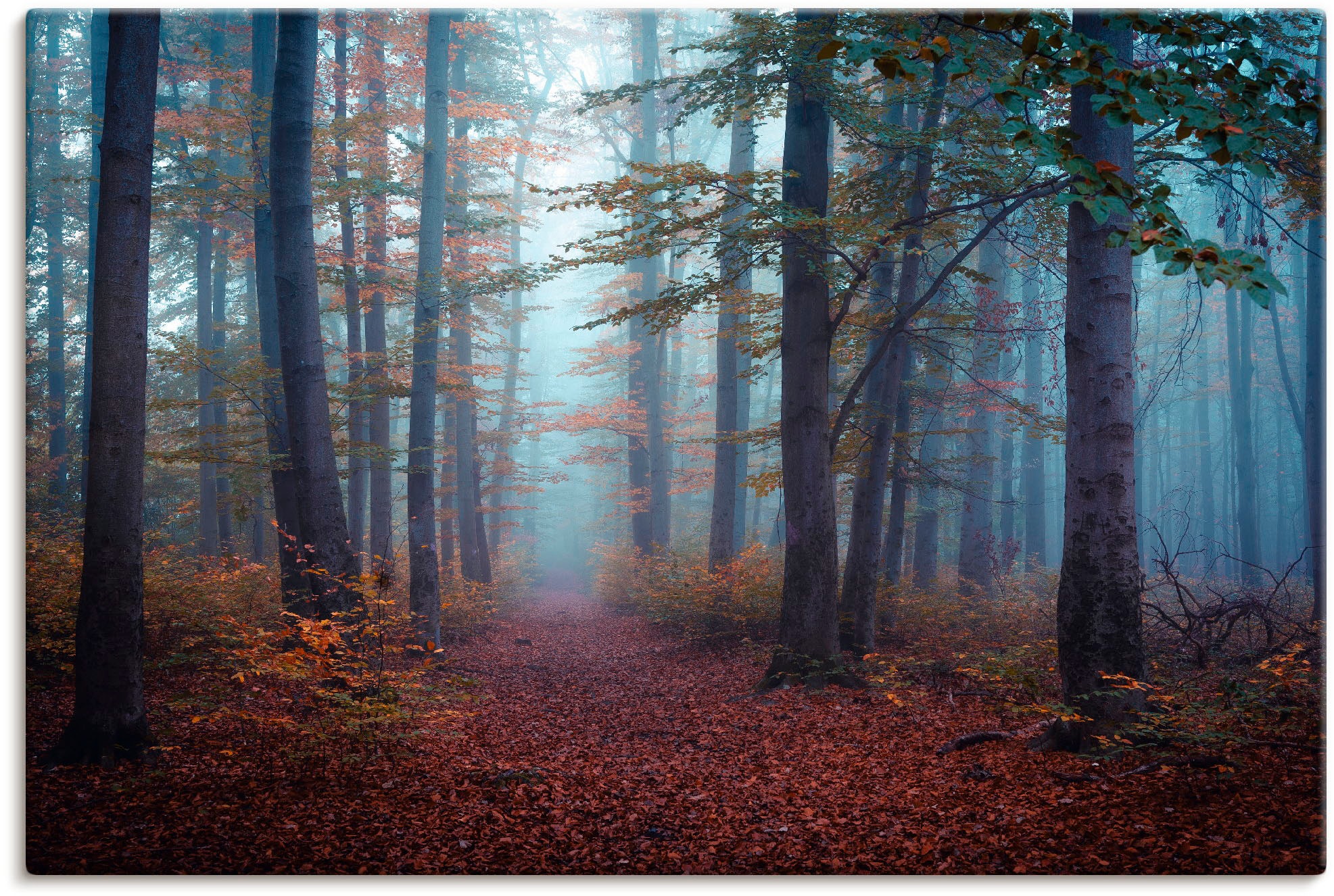 Artland Wandbild »Wald im Nebel«, Waldbilder, (1 St.), als Alubild,  Leinwandbild, Wandaufkleber oder Poster in versch. Größen kaufen | BAUR