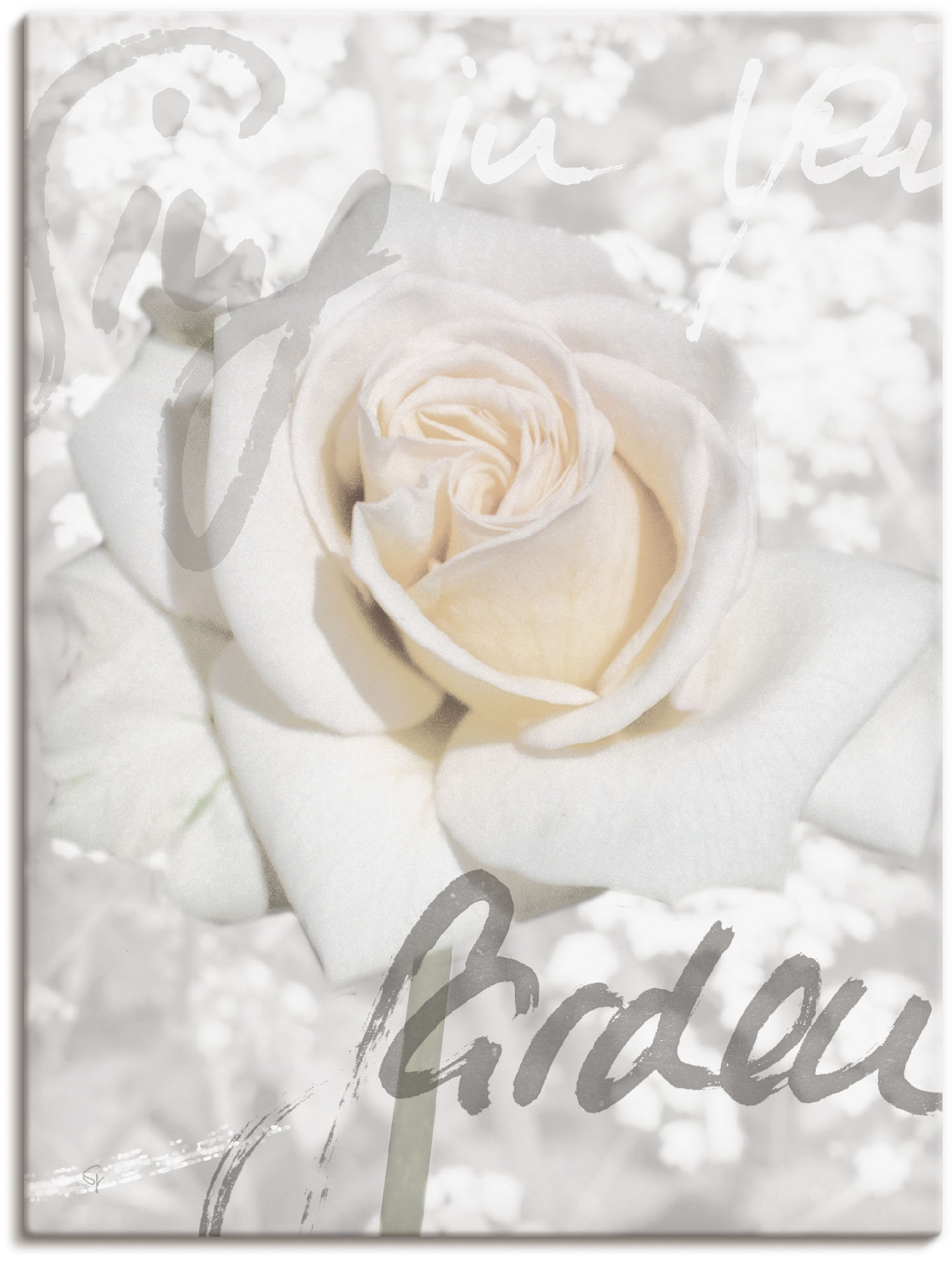Artland Wandbild "In Lettern - Rose" Blumen 1 Stk. tlg. als Leinwandbild, Poster in verschied. Größen