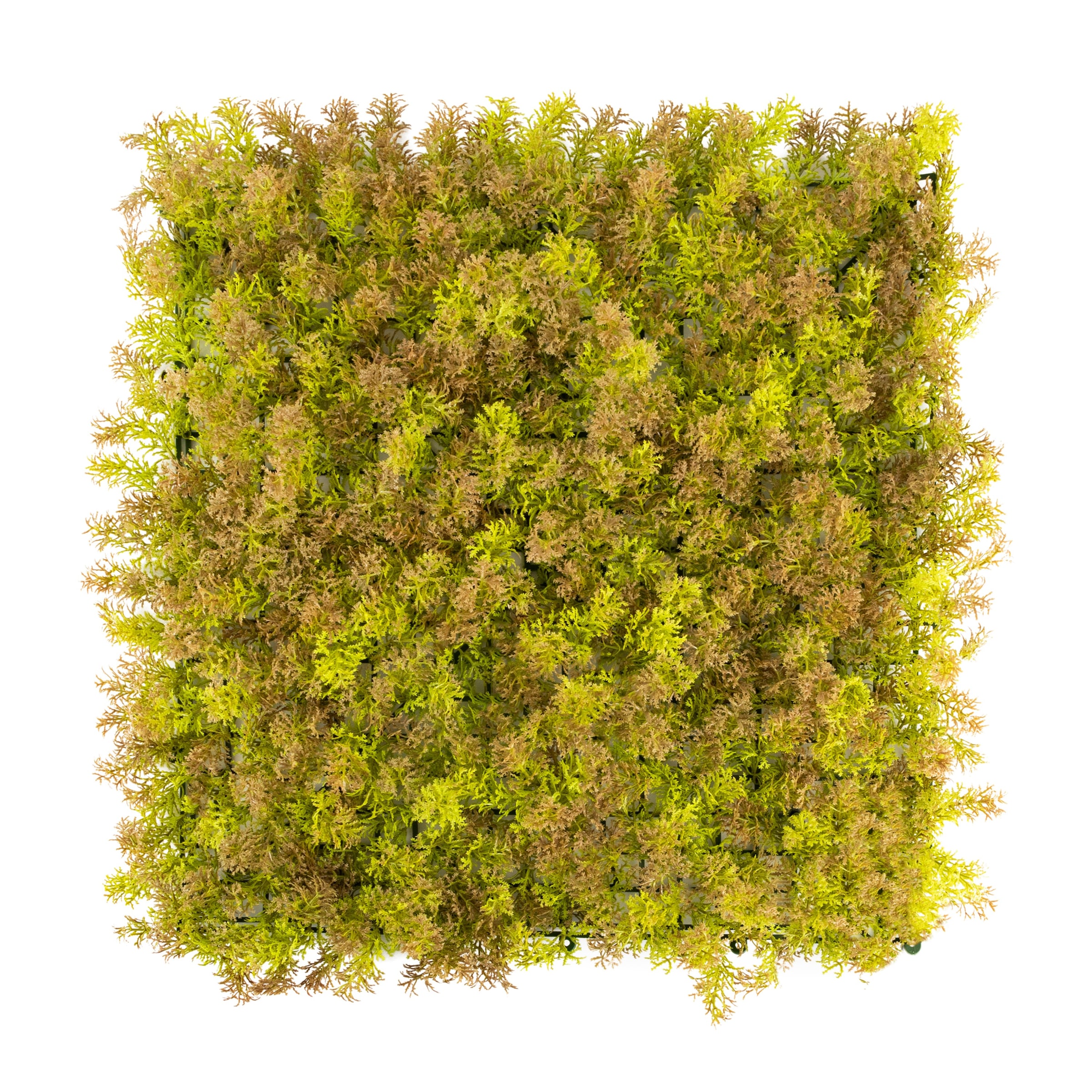 Primaflor-Ideen in Textil Kunstpflanze "Pflanzenwand, 50x50cm" Wanddeko, realistische Optik, In- und Outdoor geeignet, UV-beständig
