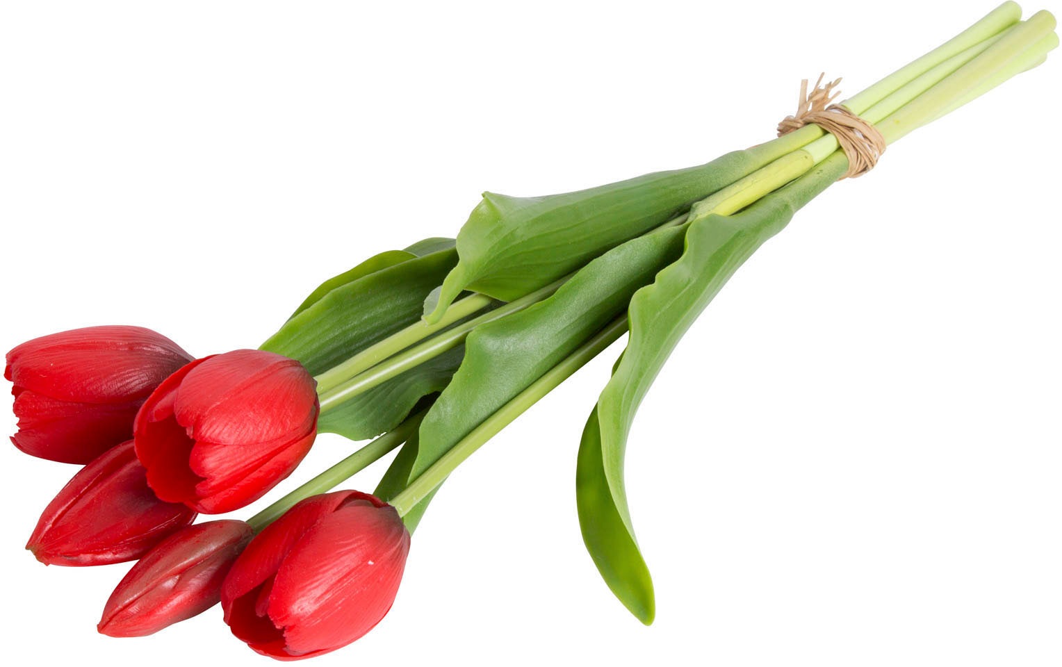 my home Kunstblume "Tulpenbündel Holland real Touch" günstig online kaufen